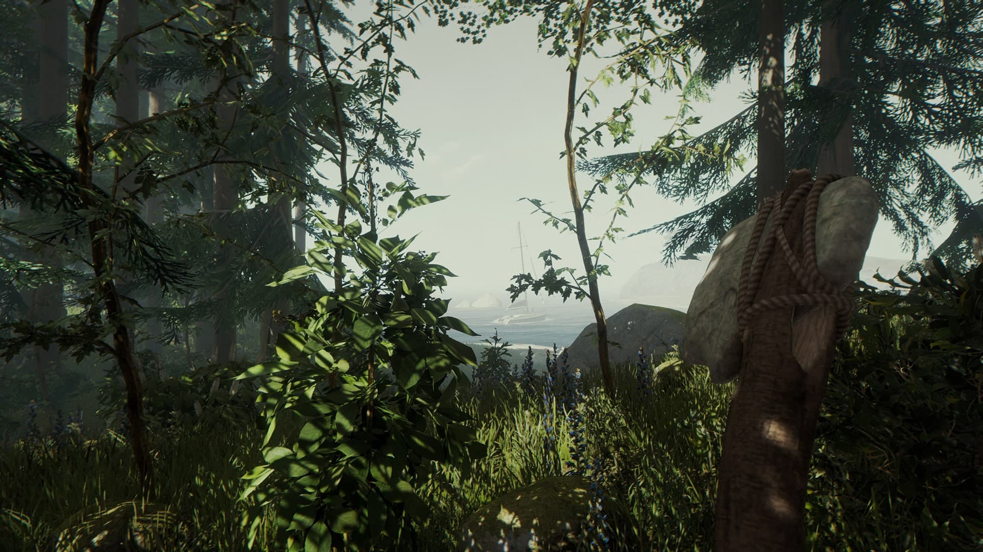 The Forest: скриншот 3