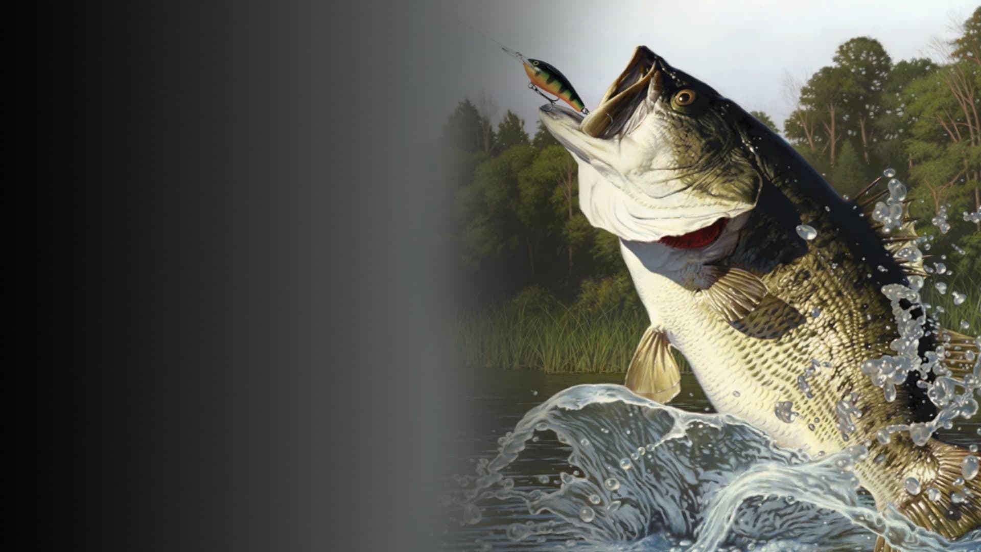Rapala Fishing: Pro Series Standard