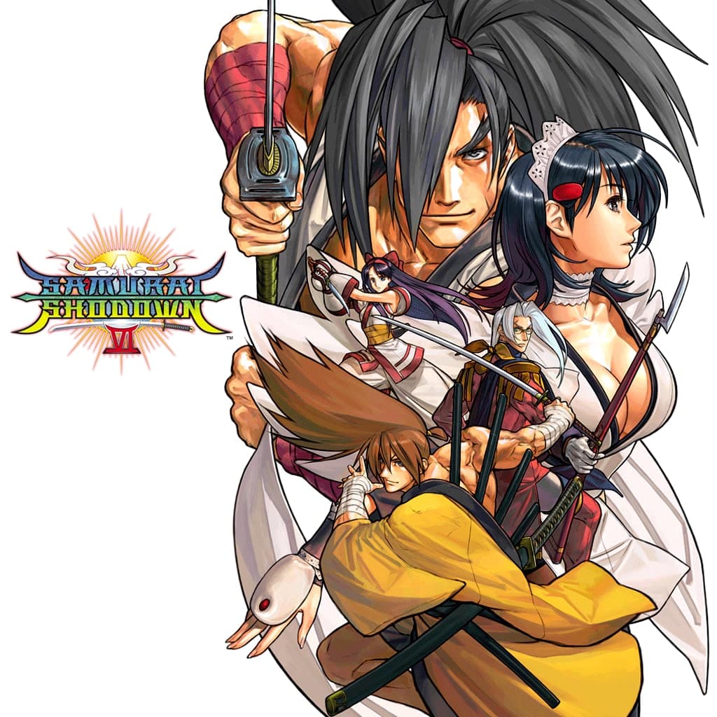 SAMURAI SHODOWN VI Standard