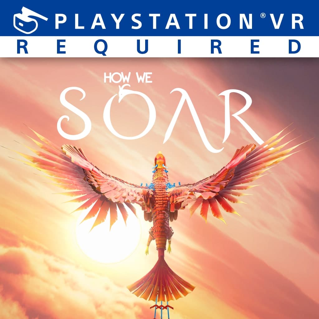 How We Soar Standard