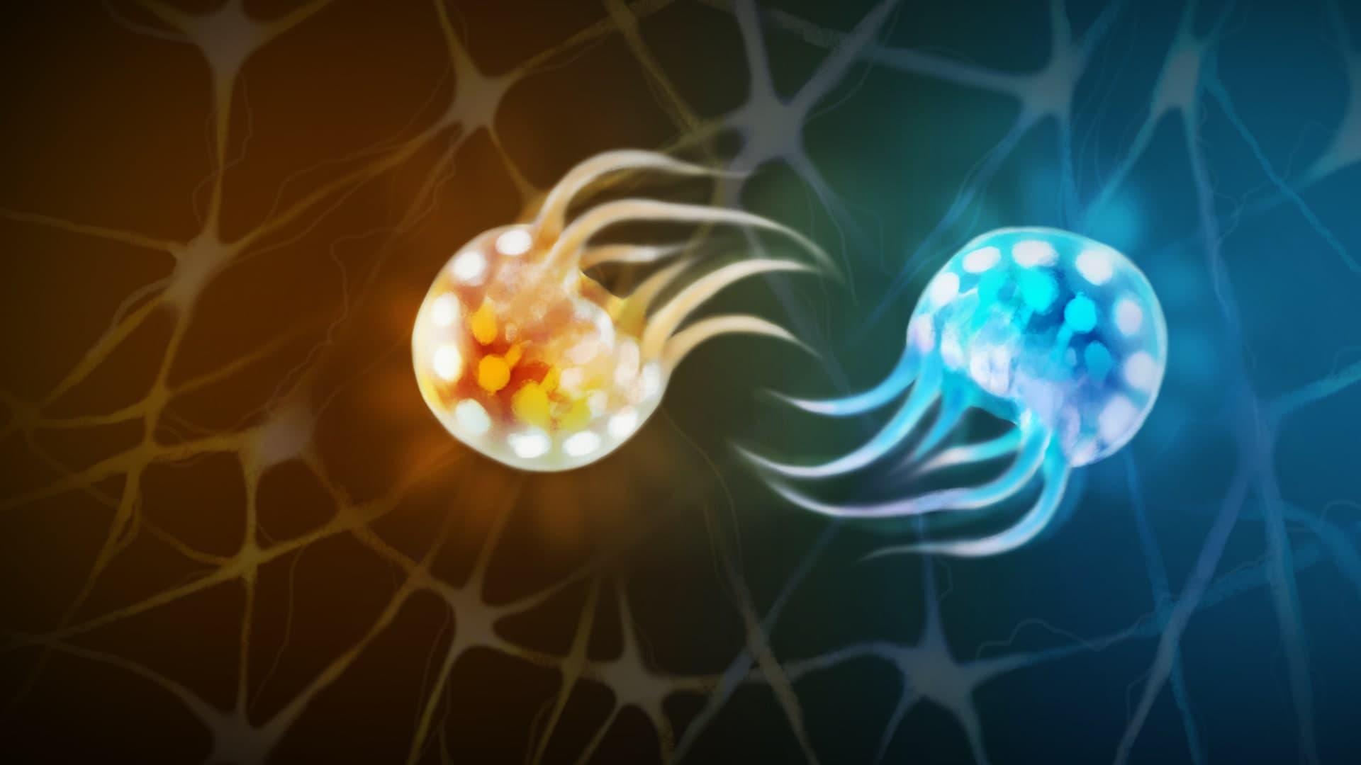 Semispheres Standard