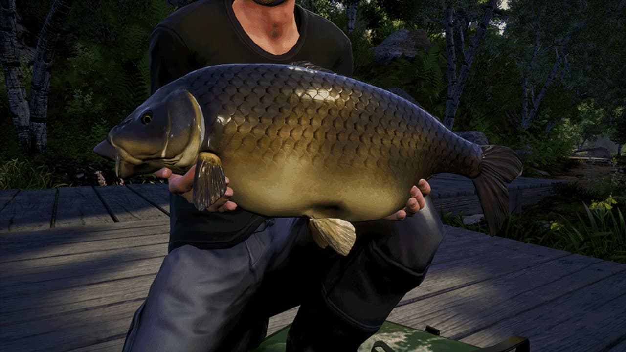 Euro Fishing: Waldsee: скриншот 6