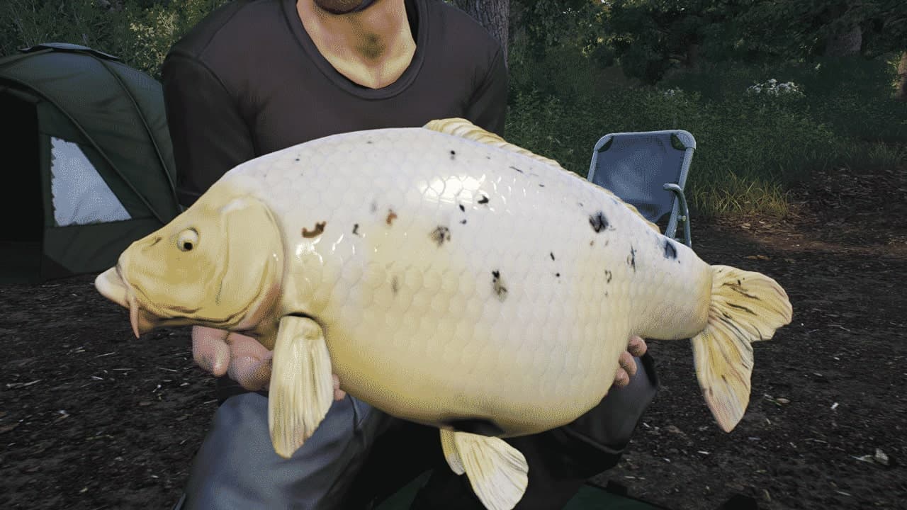 Euro Fishing: Lilies: скриншот 4