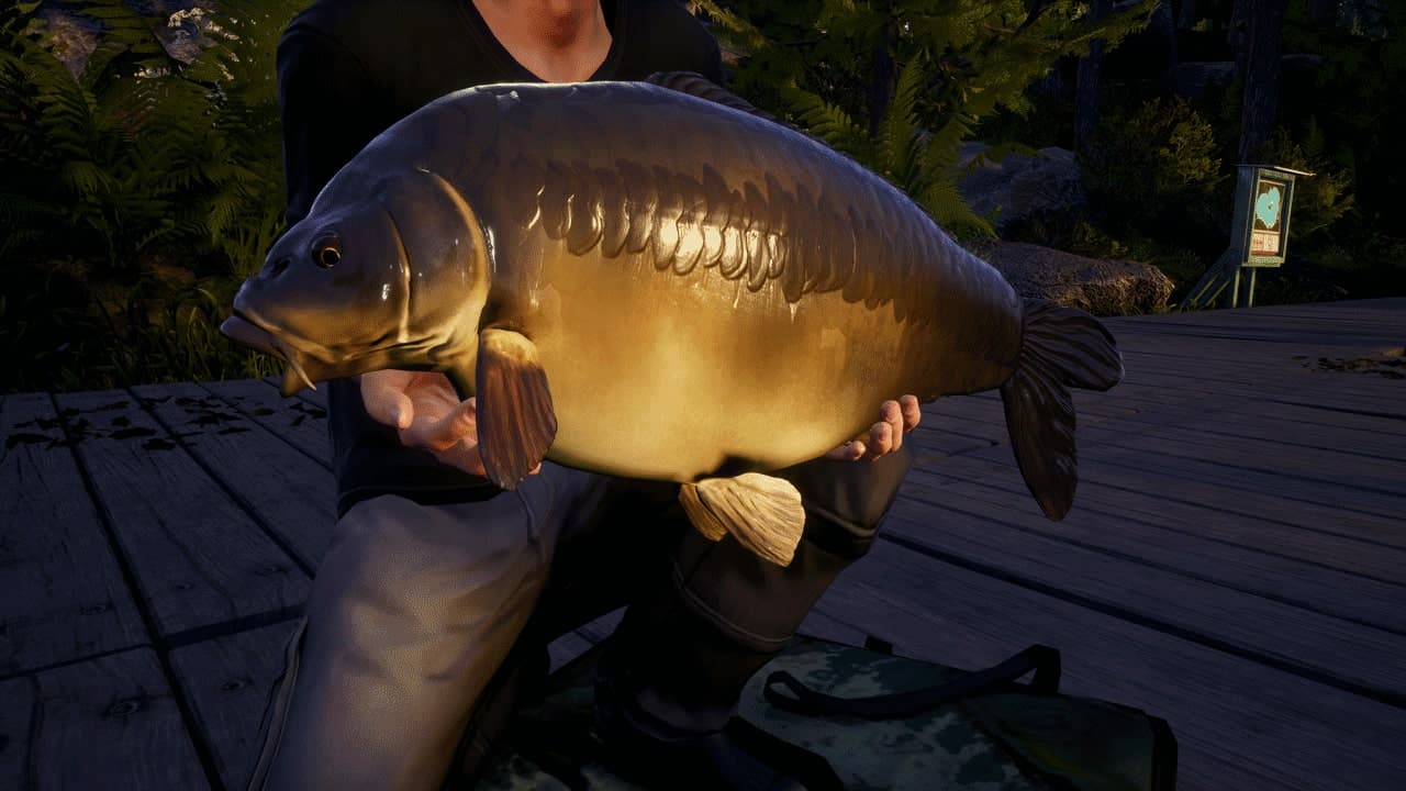 Euro Fishing: Waldsee: скриншот 4