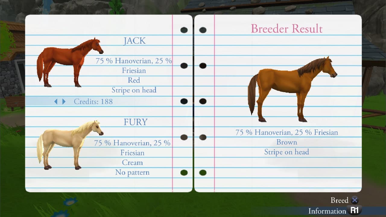 My Riding Stables - Life with Horses: скриншот 3