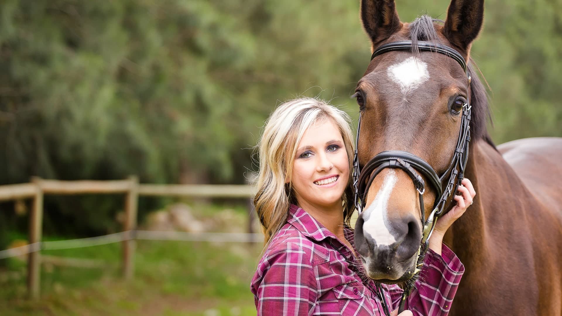 My Riding Stables - Life with Horses Standard