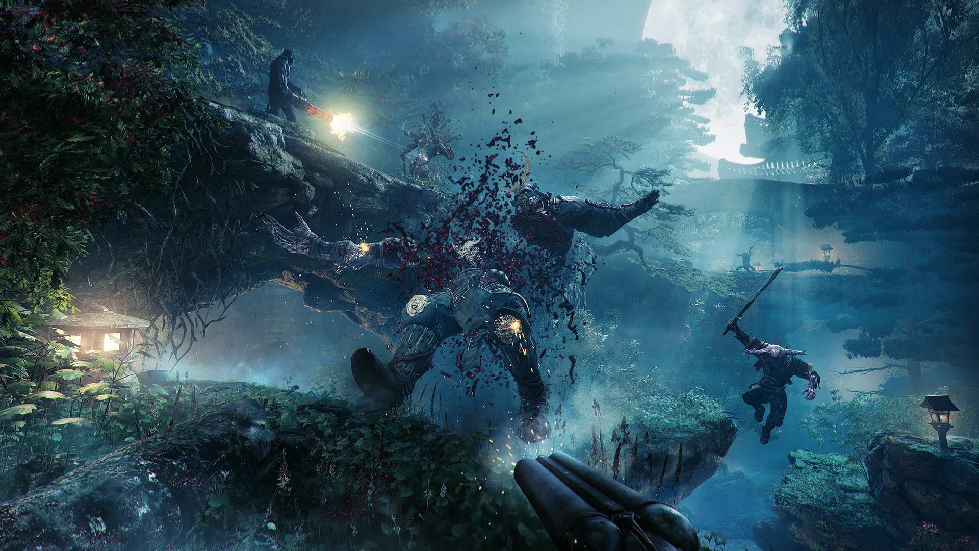 The Shadow Warrior Collection: скриншот 6
