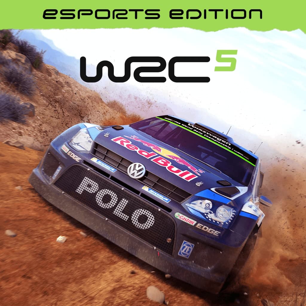 WRC 5 eSports Standard