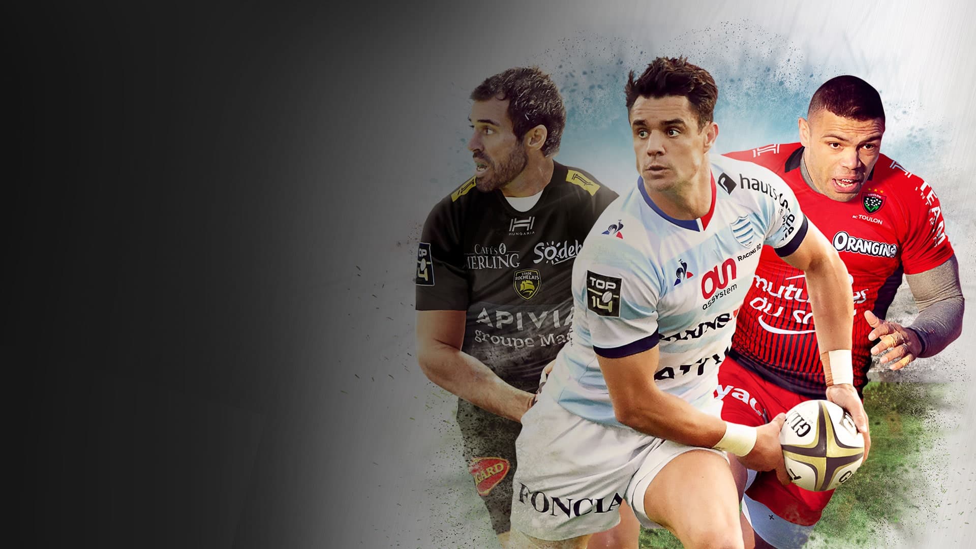 RUGBY 18 Standard