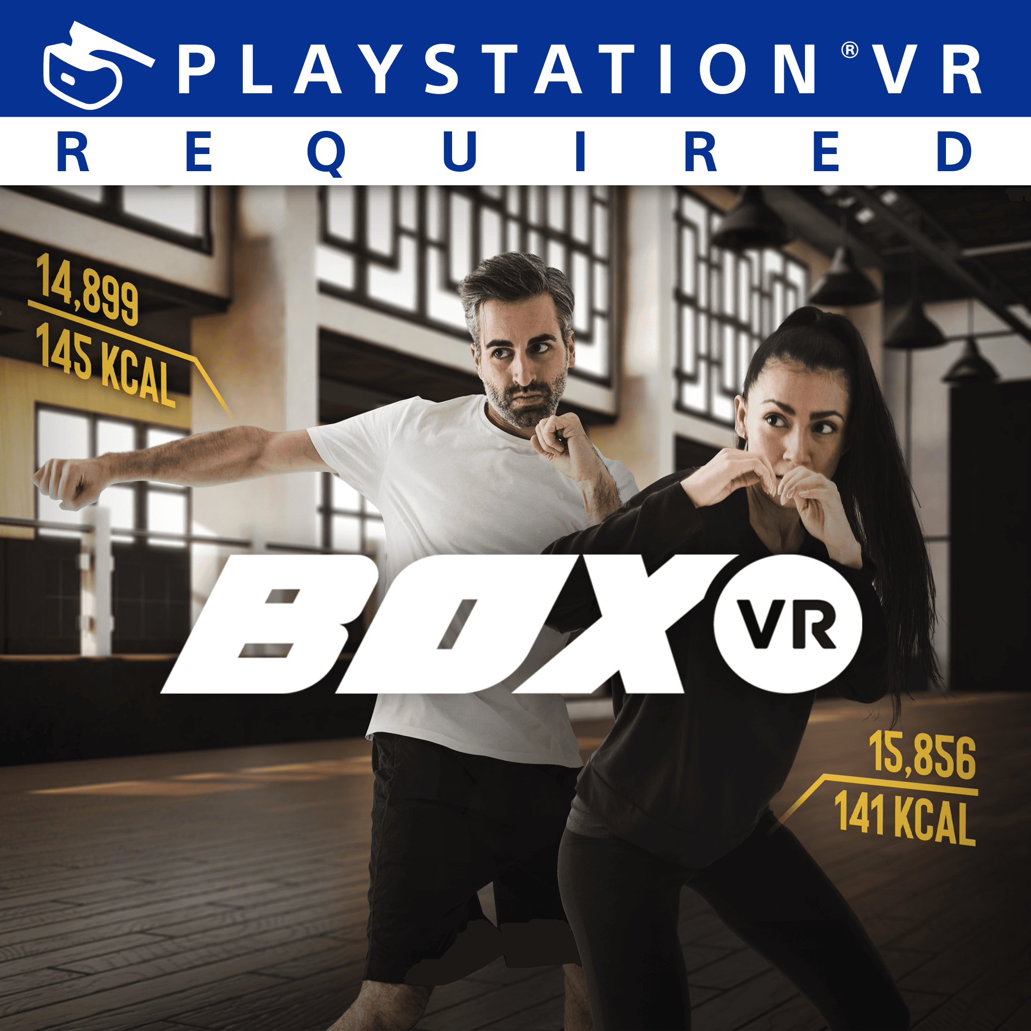 BOXVR Standard