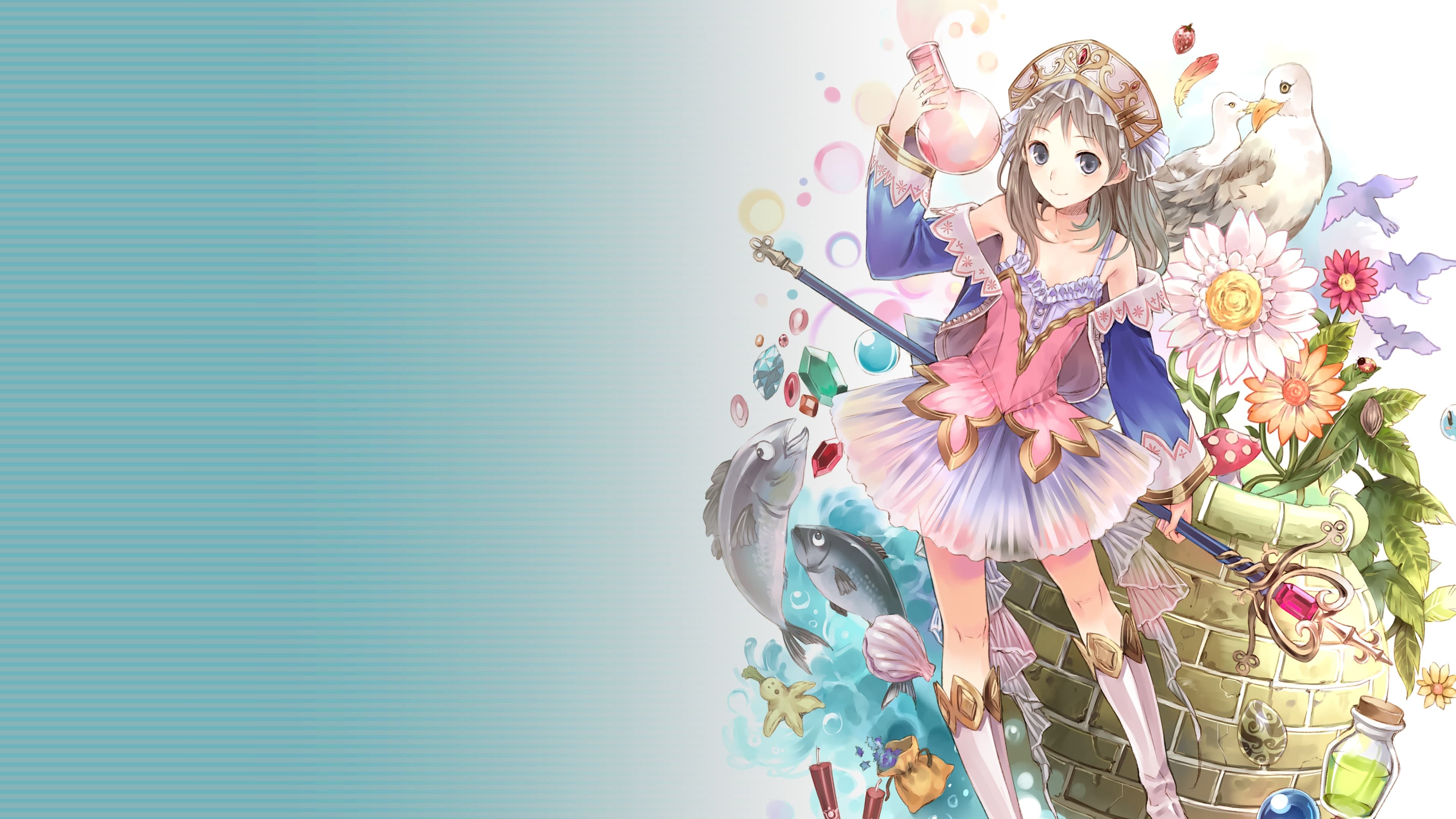 Atelier Totori ~The Adventurer of Arland~ DX Standard