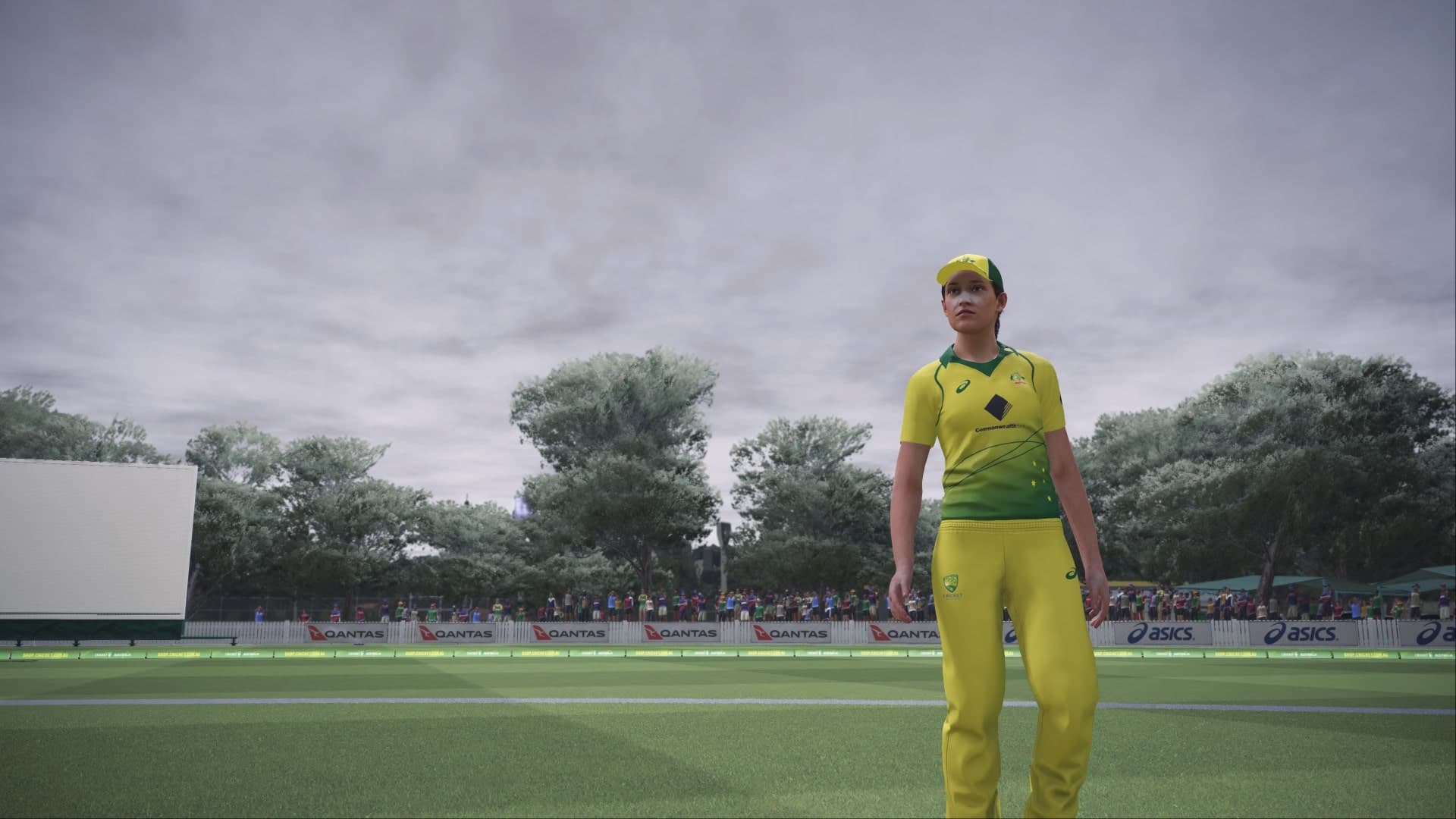 ASHES CRICKET: скриншот 7