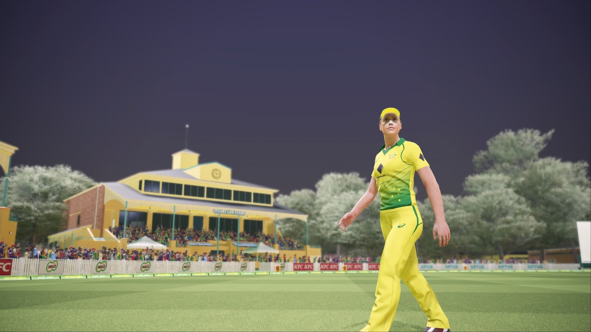 ASHES CRICKET: скриншот 6