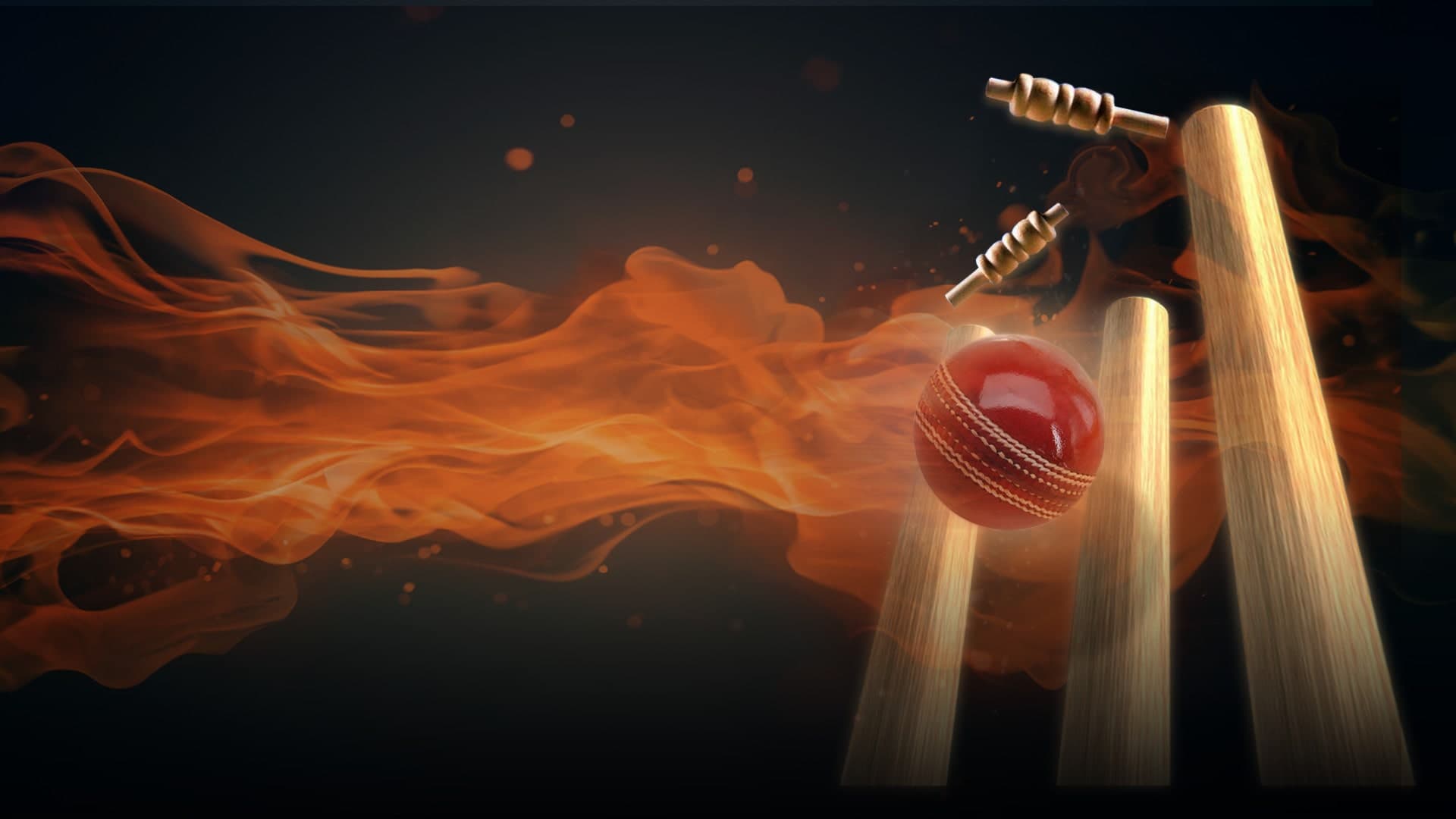ASHES CRICKET Standard