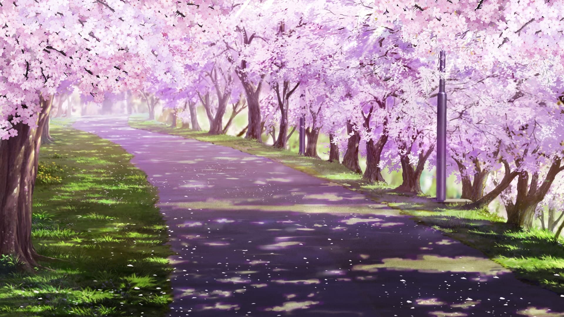 Root Letter Standard