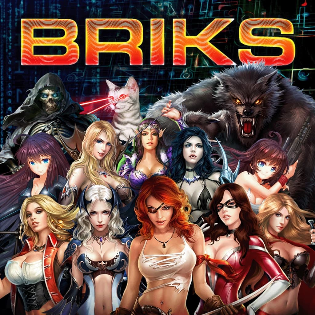 BRIKS Standard