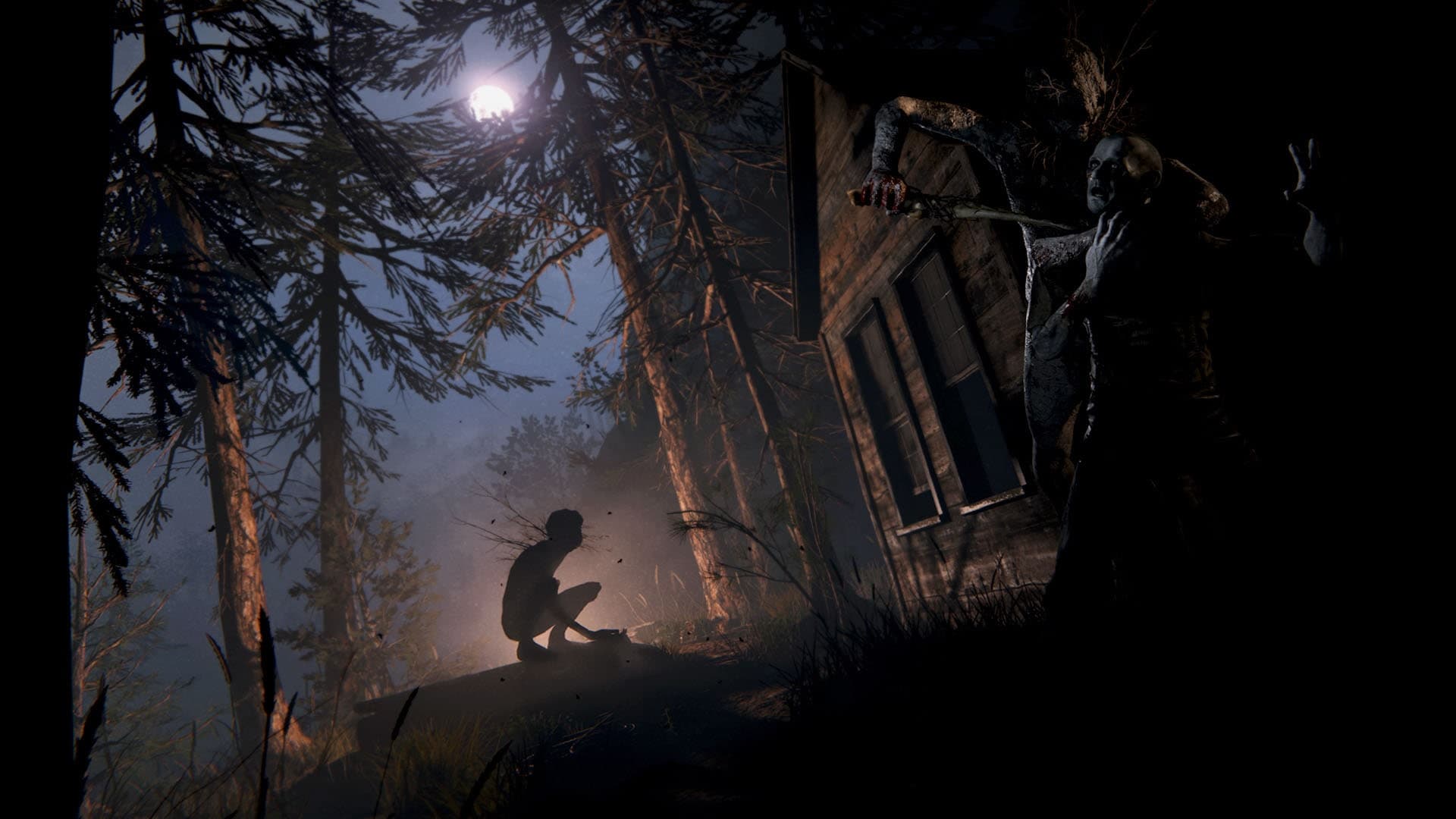 Outlast 2: скриншот 3