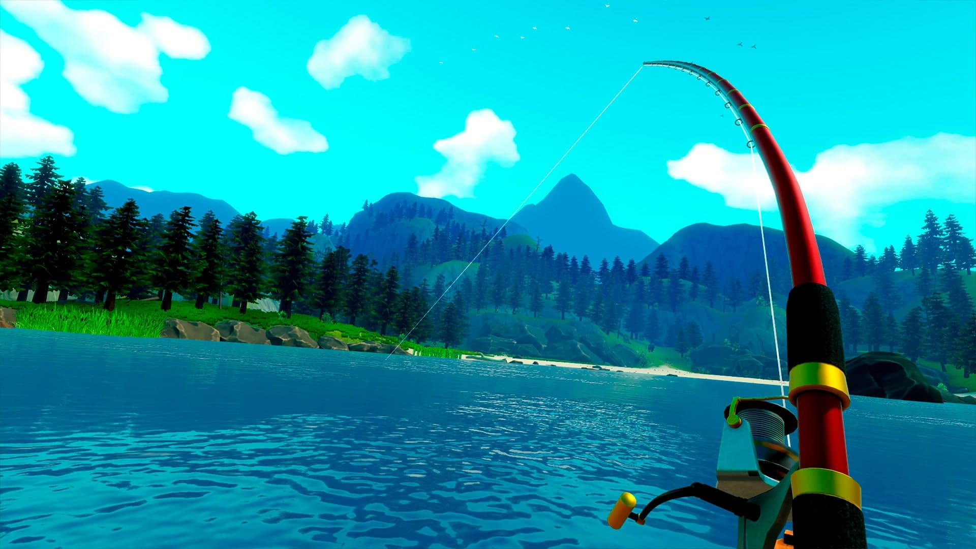 Catch Release Standard
