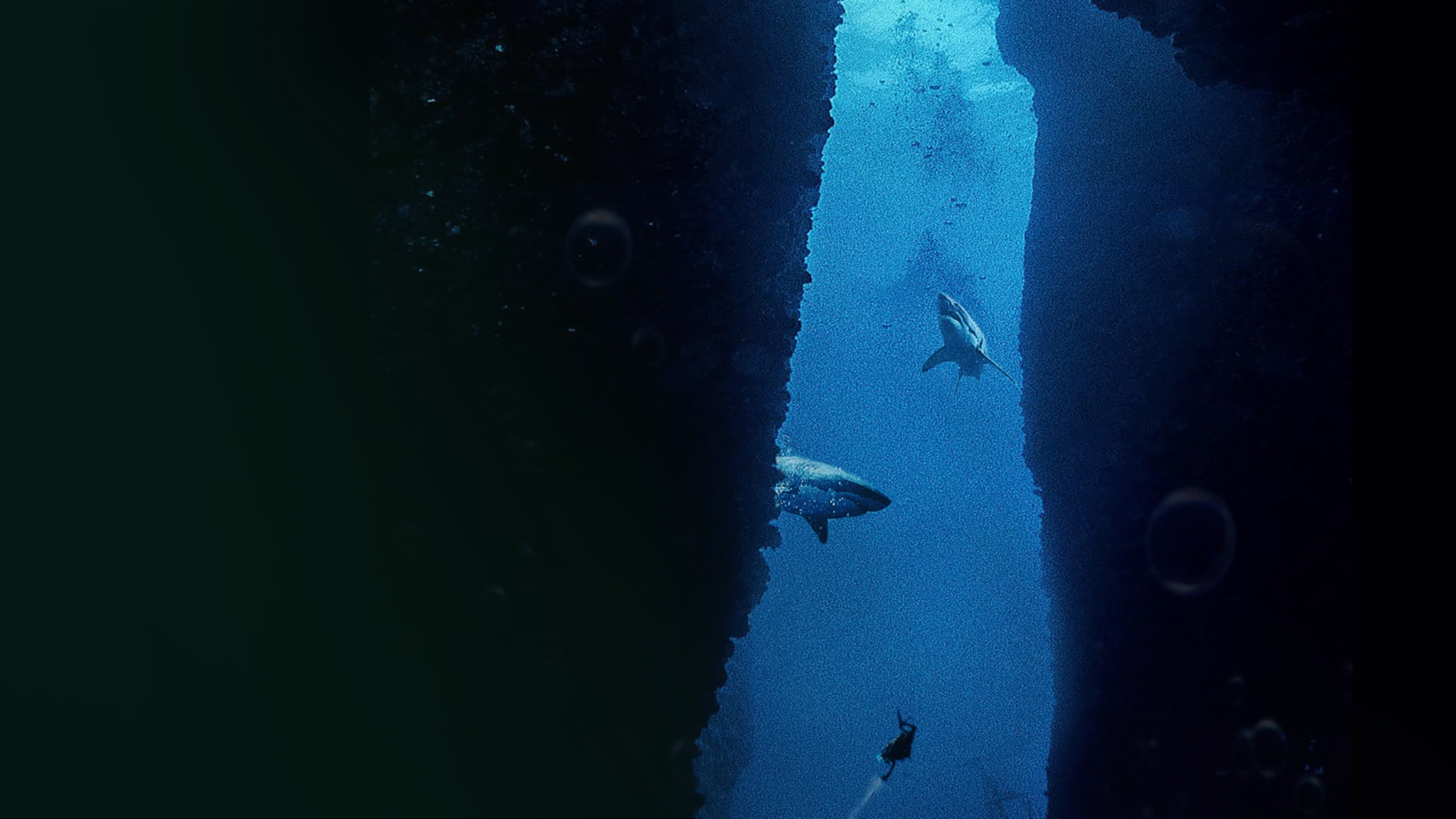 Submersed Standard