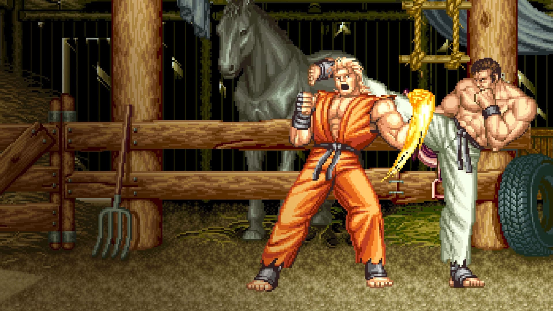 ACA NEOGEO ART OF FIGHTING 2 Standard