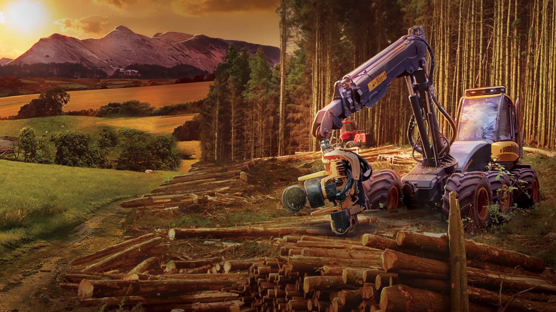 Forestry 2017 - The Simulation Standard
