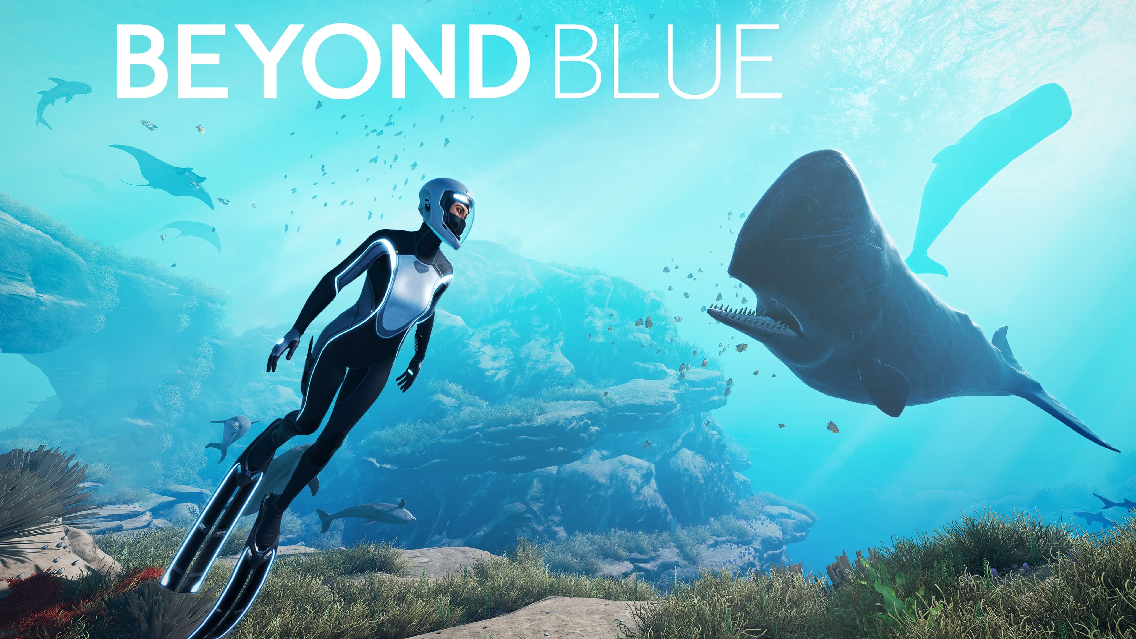 Beyond Blue Standard