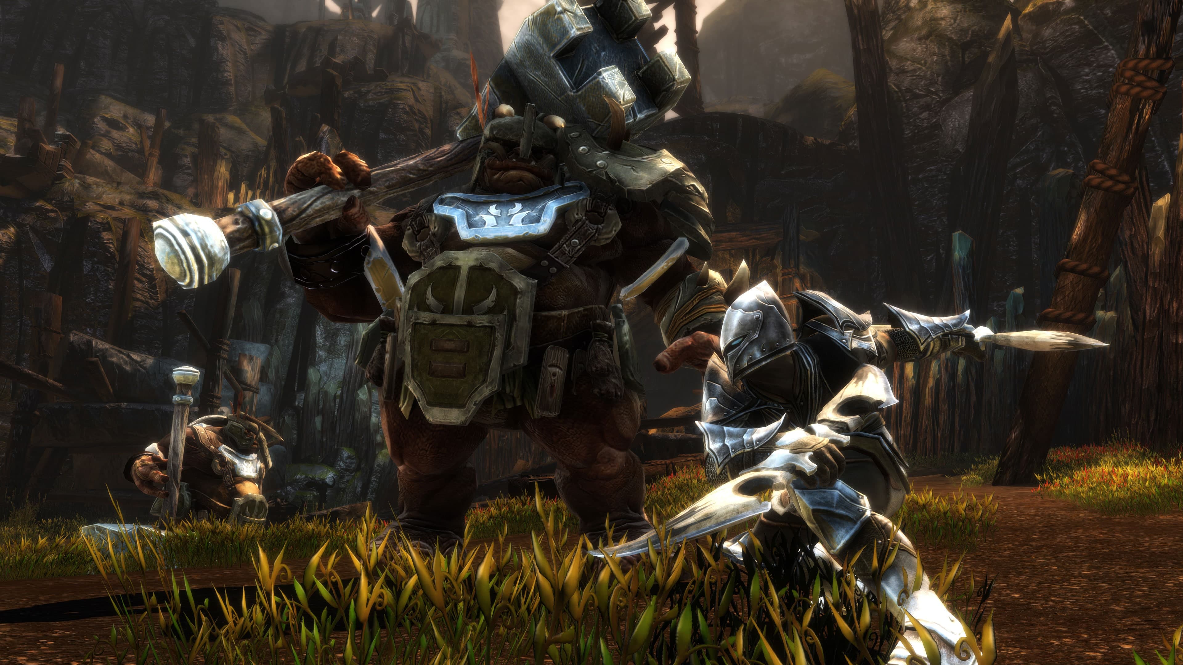 Kingdoms of Amalur: Re - Reckoning: скриншот 6