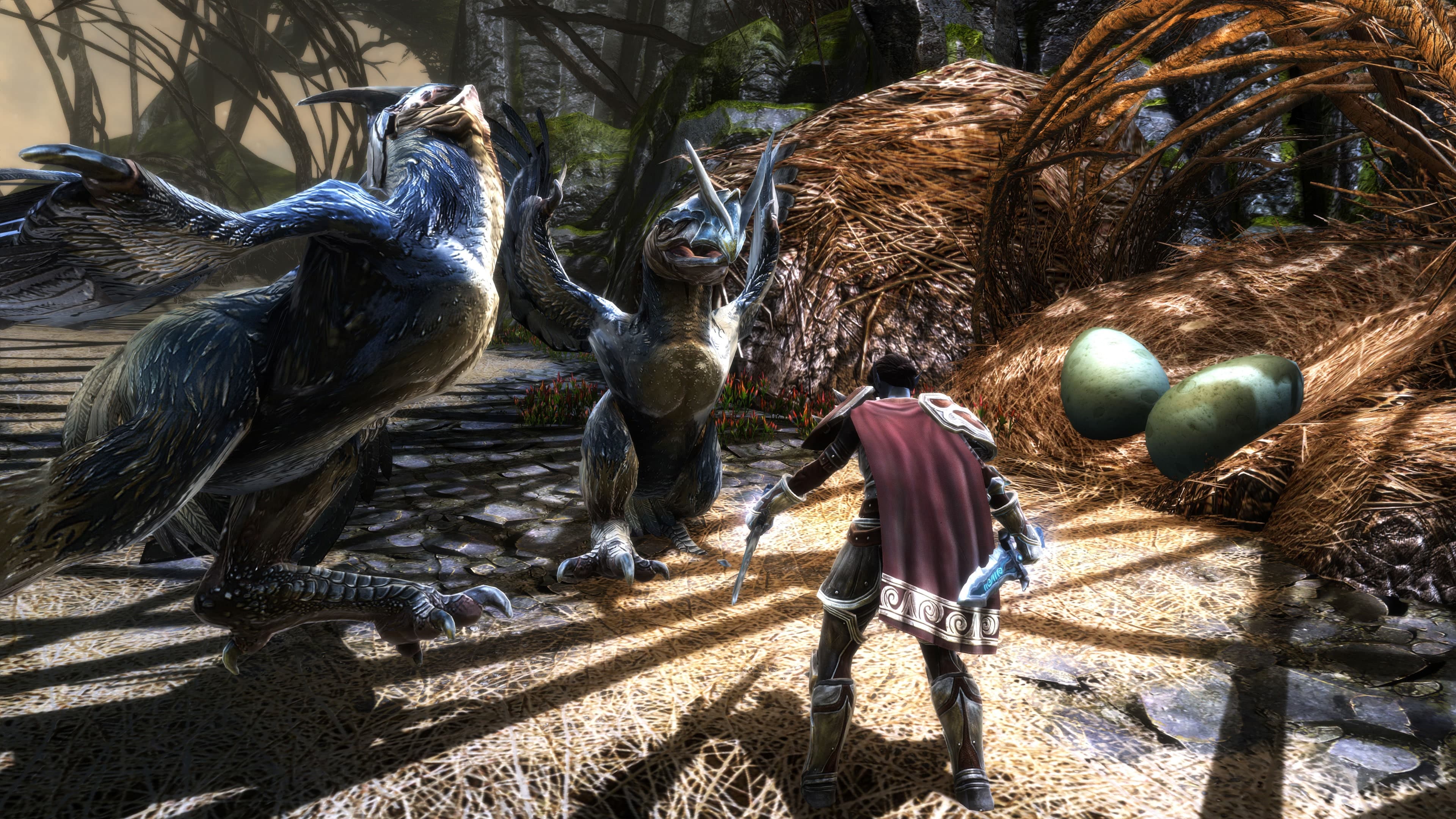 Kingdoms of Amalur: Re - Reckoning: скриншот 3