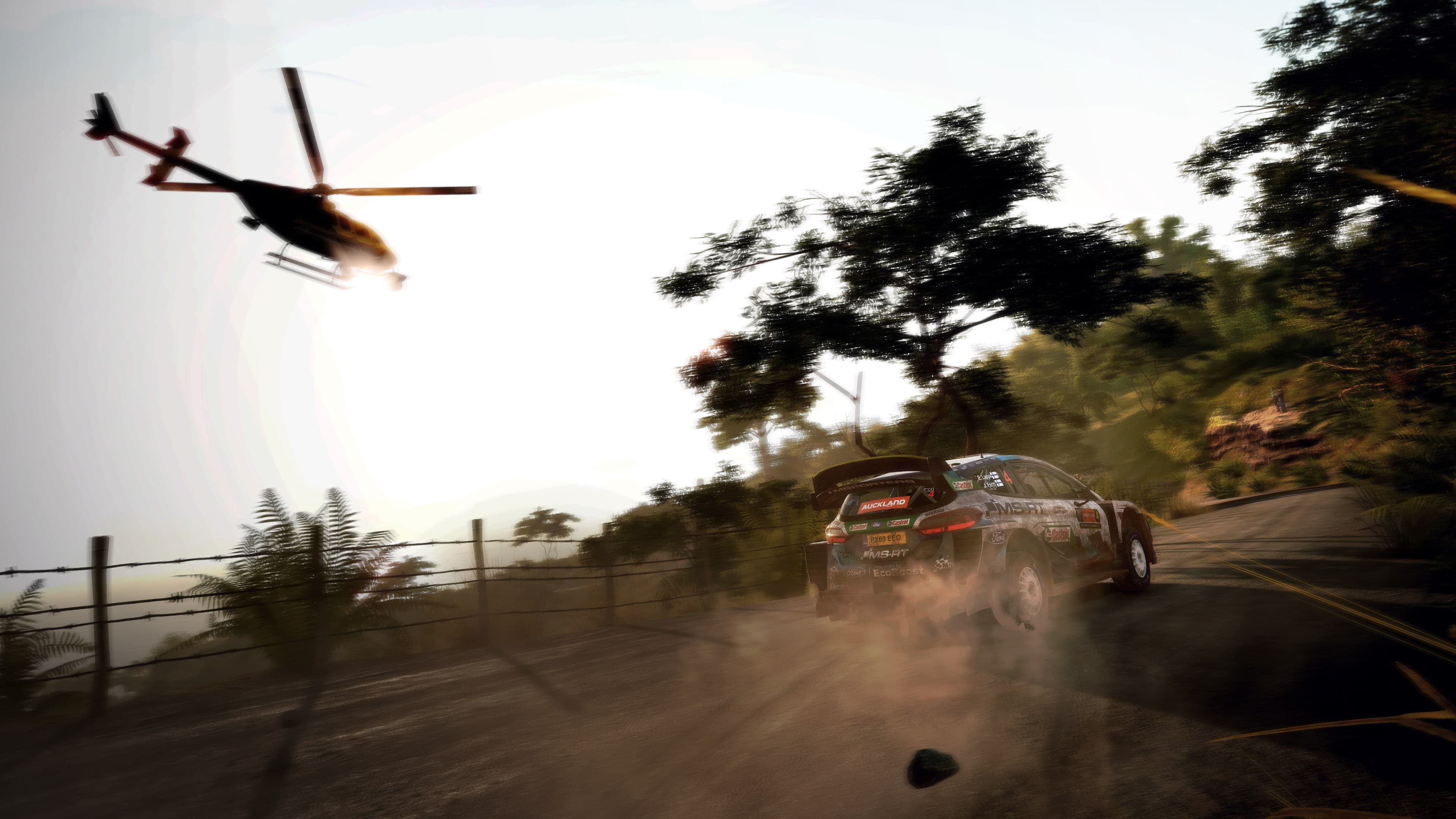 WRC 9 FIA World Rally Championship: скриншот 6