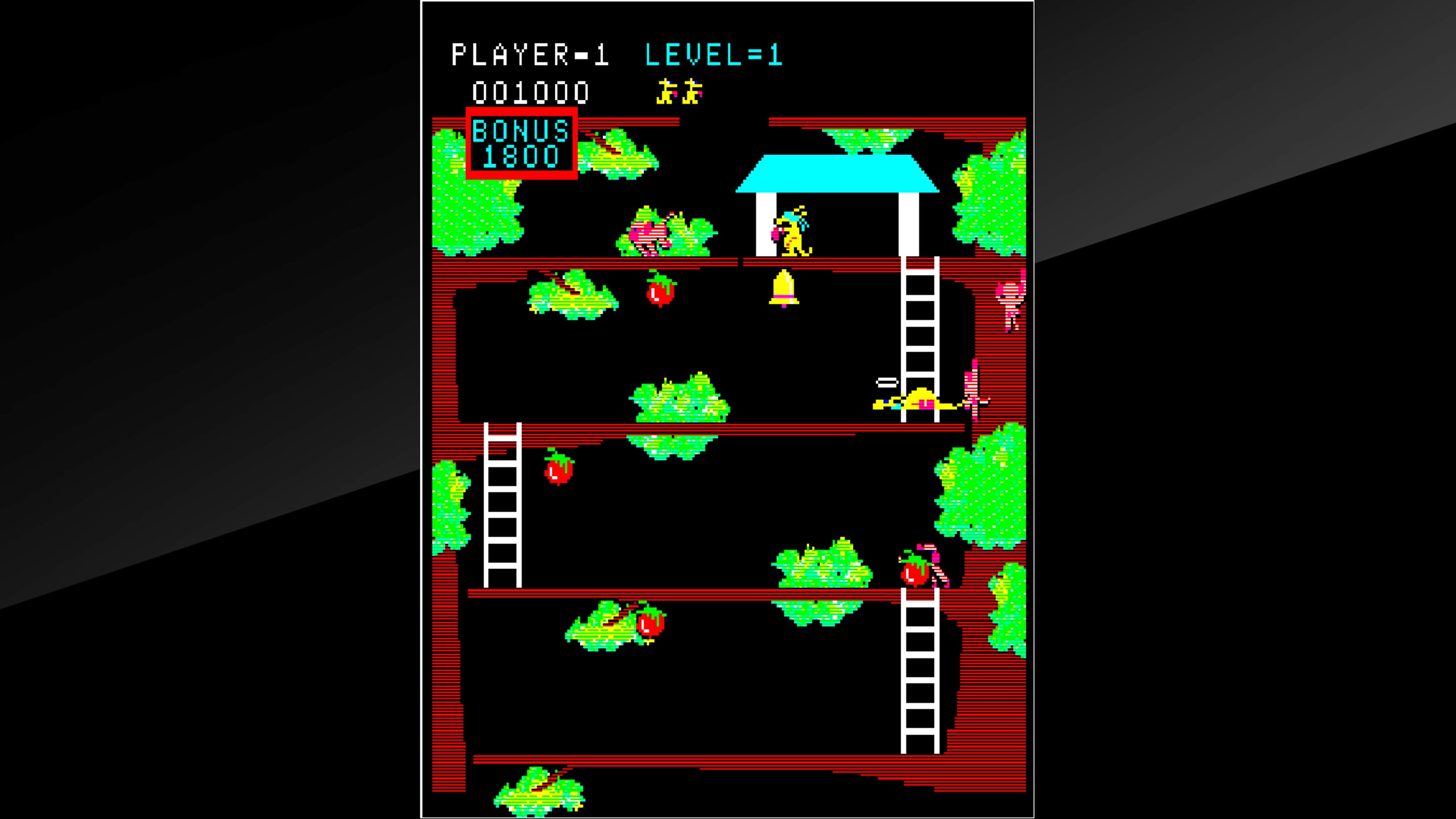 Arcade Archives Kangaroo: скриншот 8