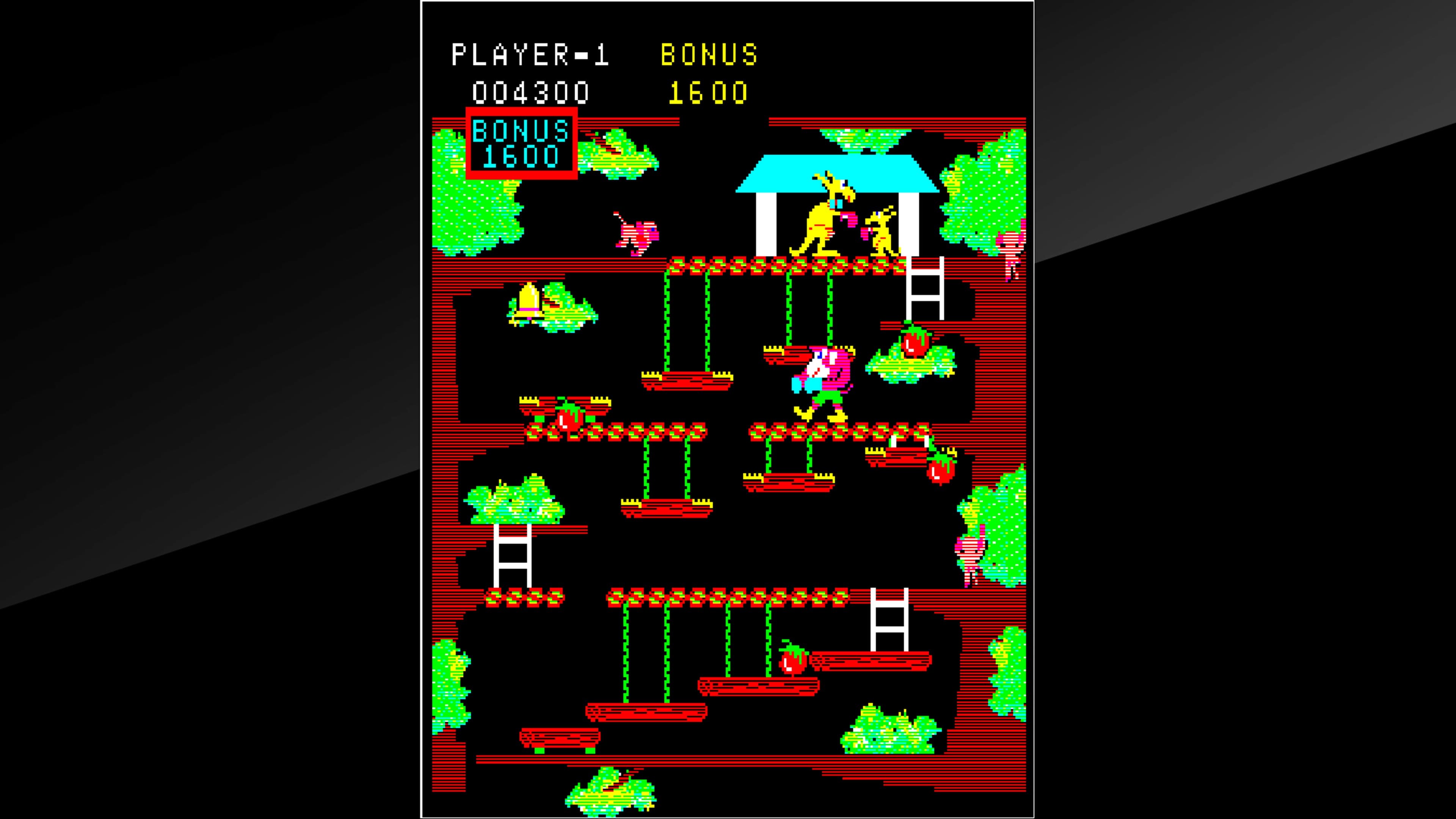 Arcade Archives Kangaroo: скриншот 5
