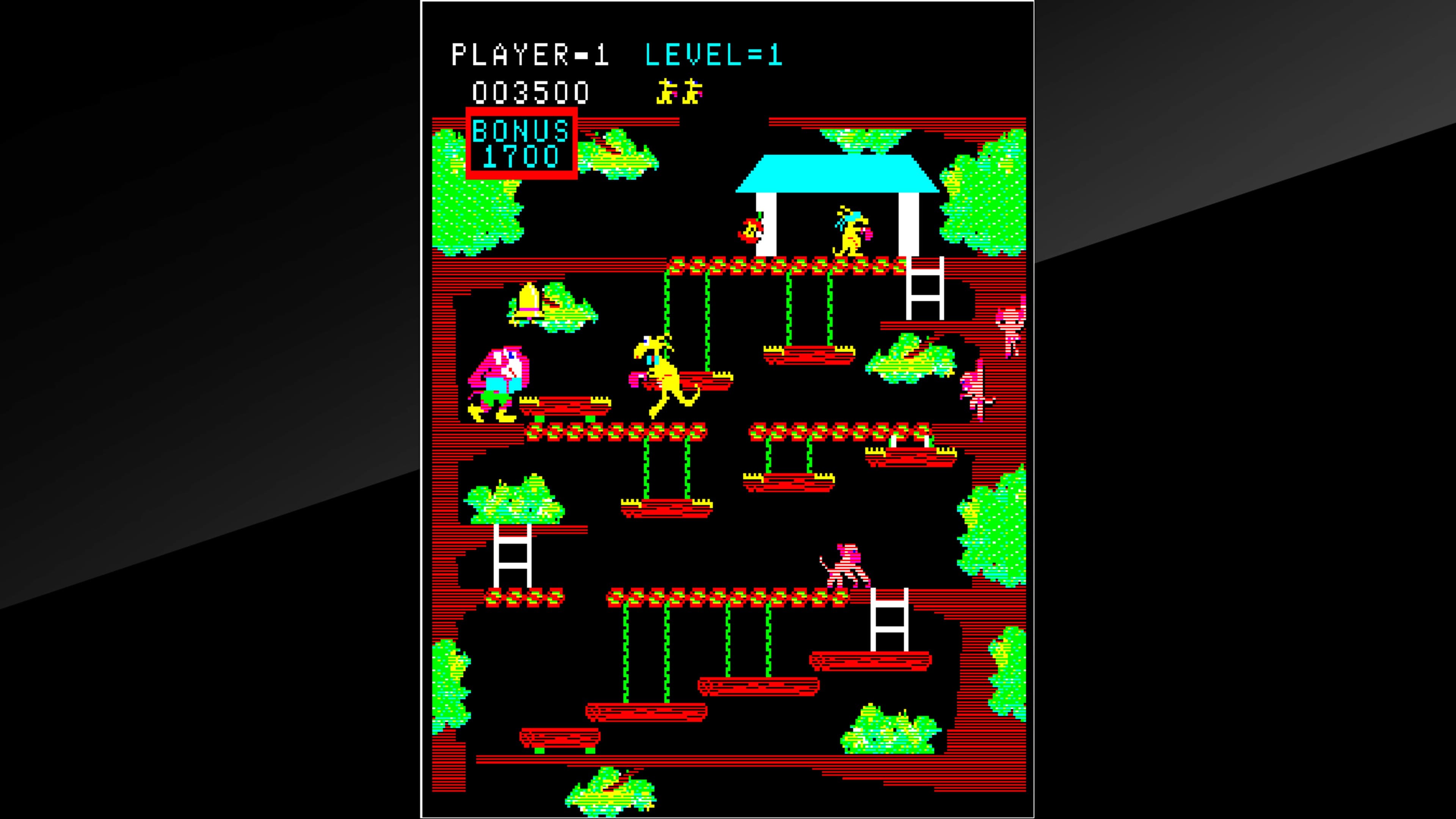 Arcade Archives Kangaroo: скриншот 6