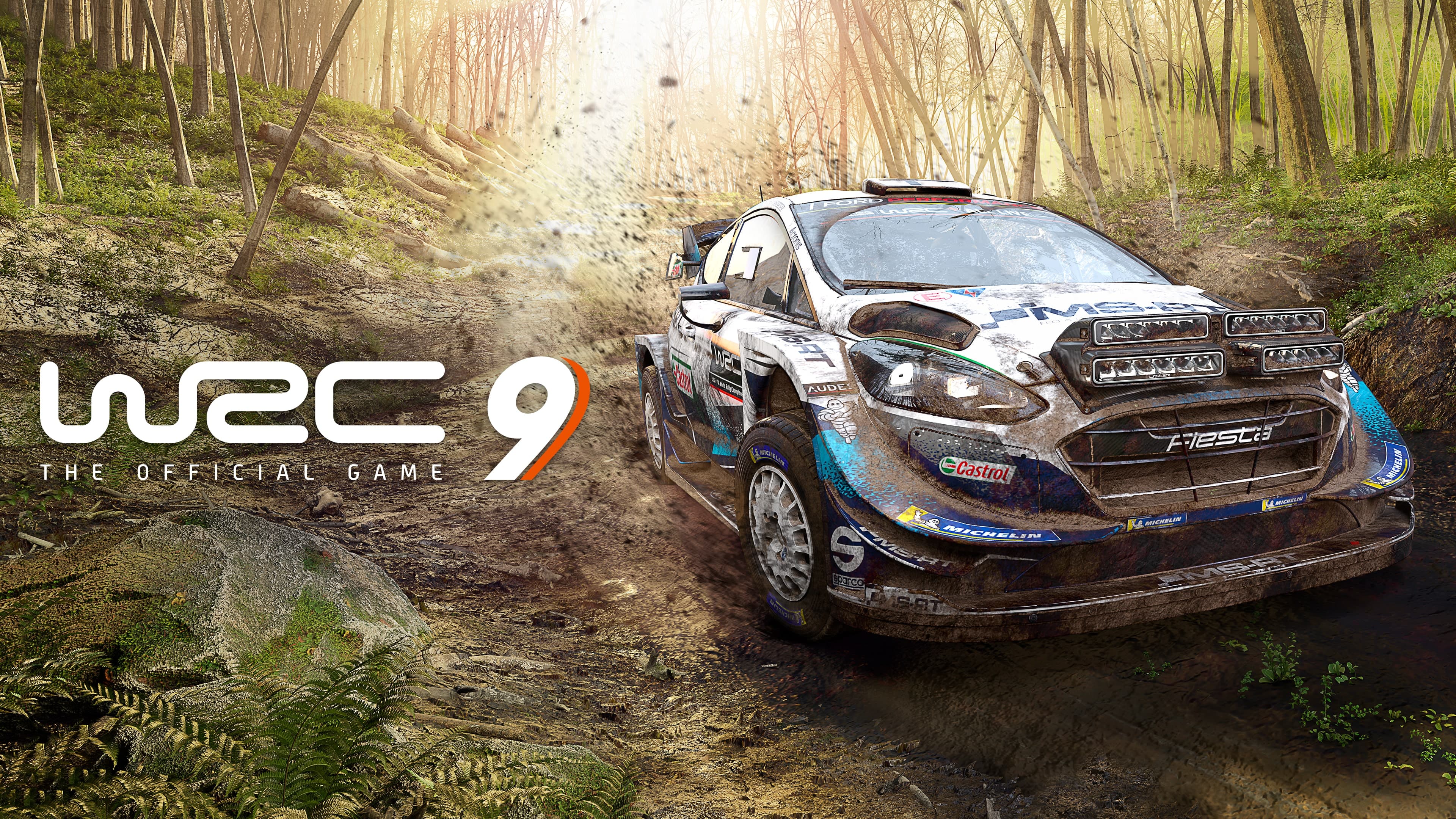 WRC 9 FIA World Rally Championship Standard