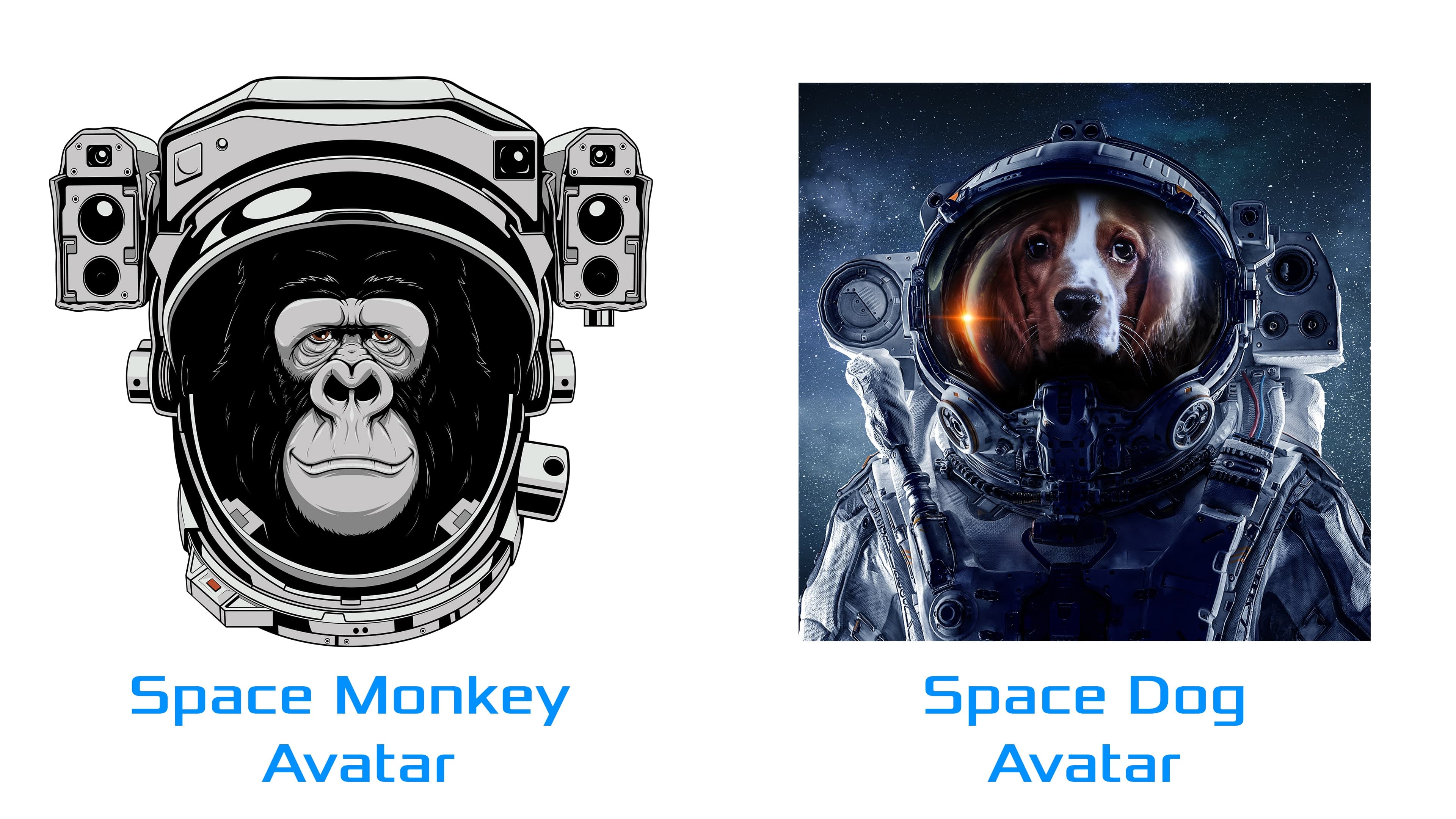 Fluxteria Space Bundle: скриншот 1