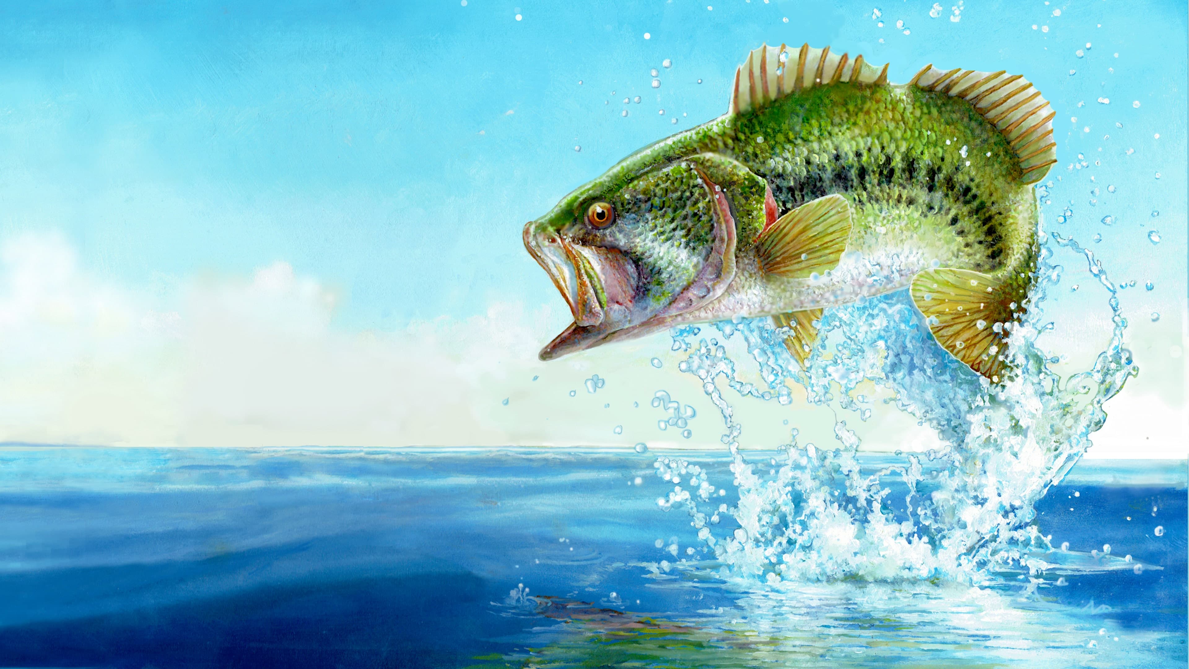 Fishing Sim World: Bass Pro Shops Standard