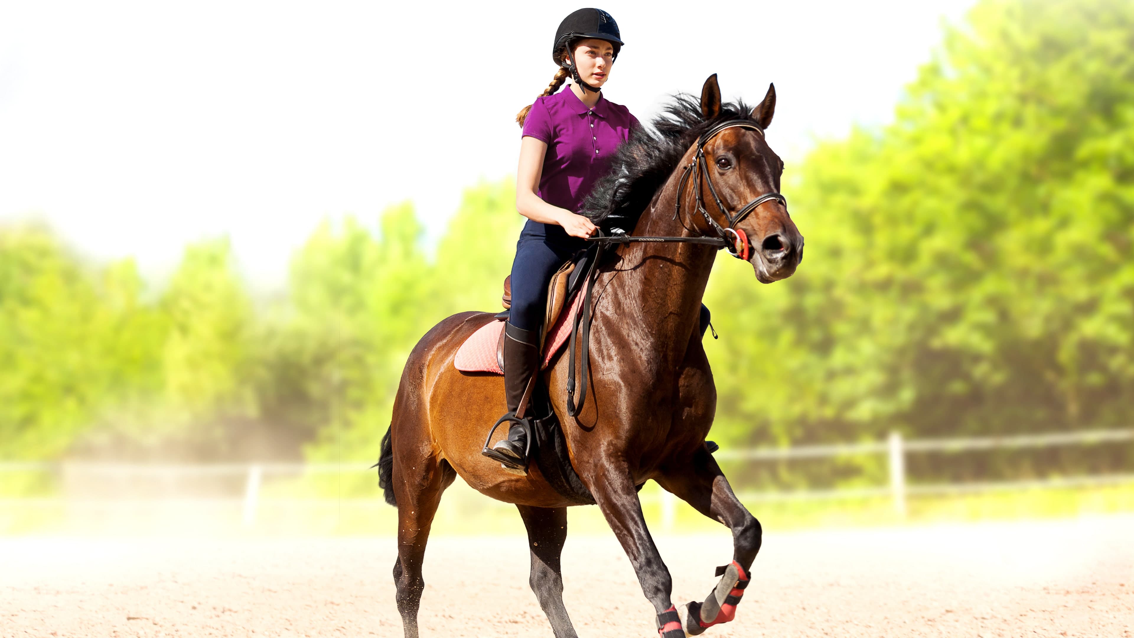 My Little Riding Champion Standard