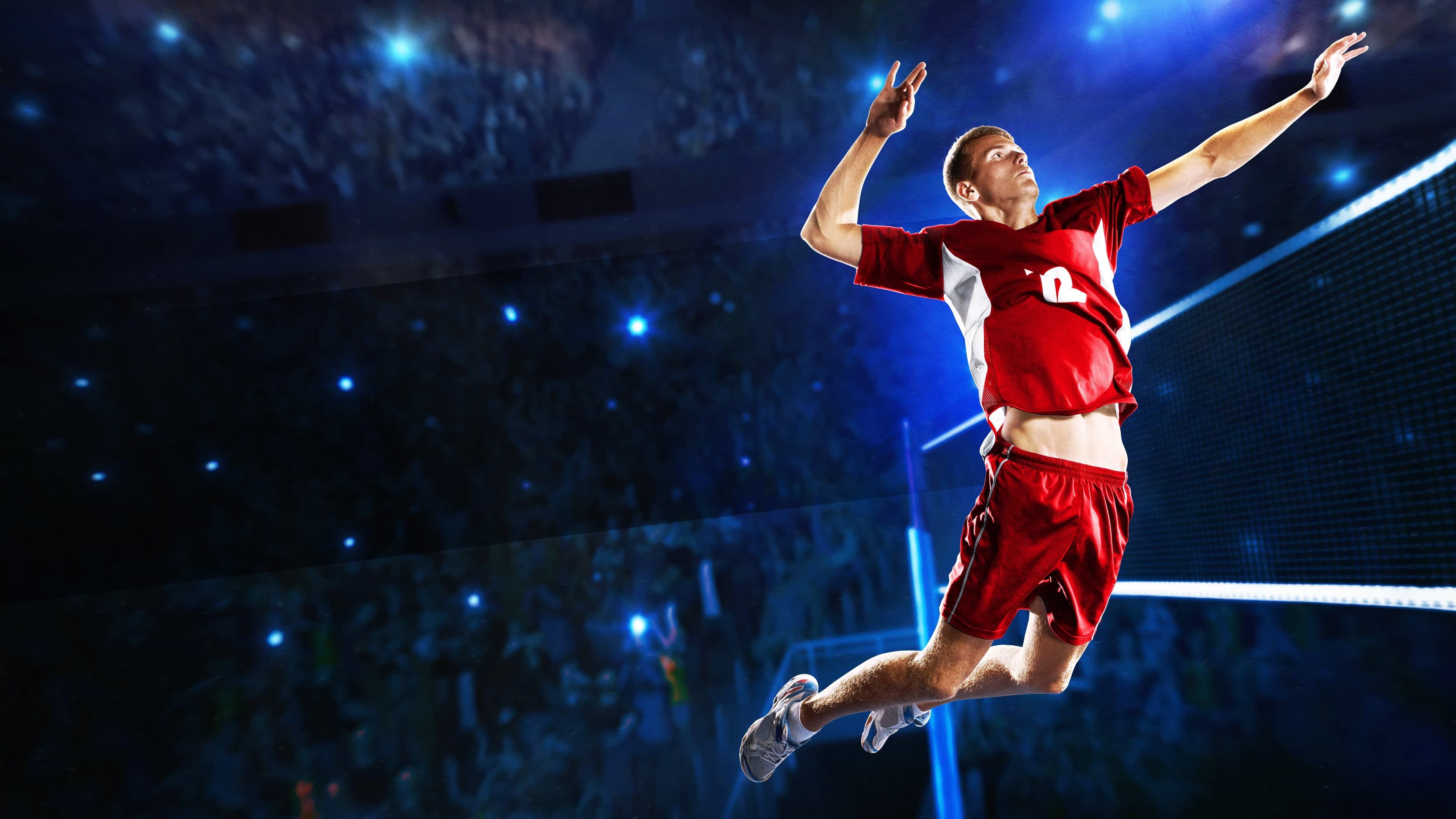 Spike Volleyball Standard