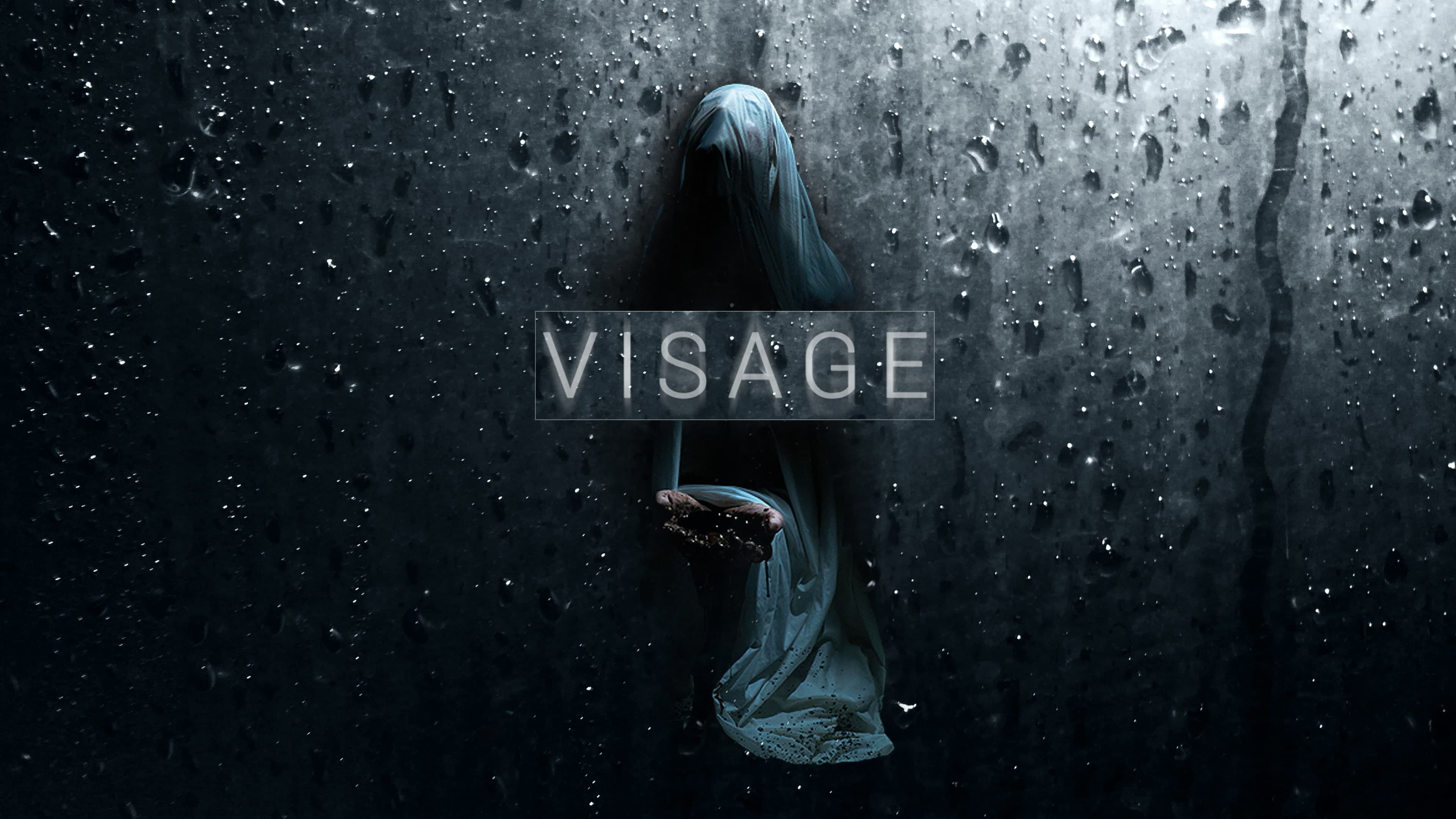 VISAGE Standard