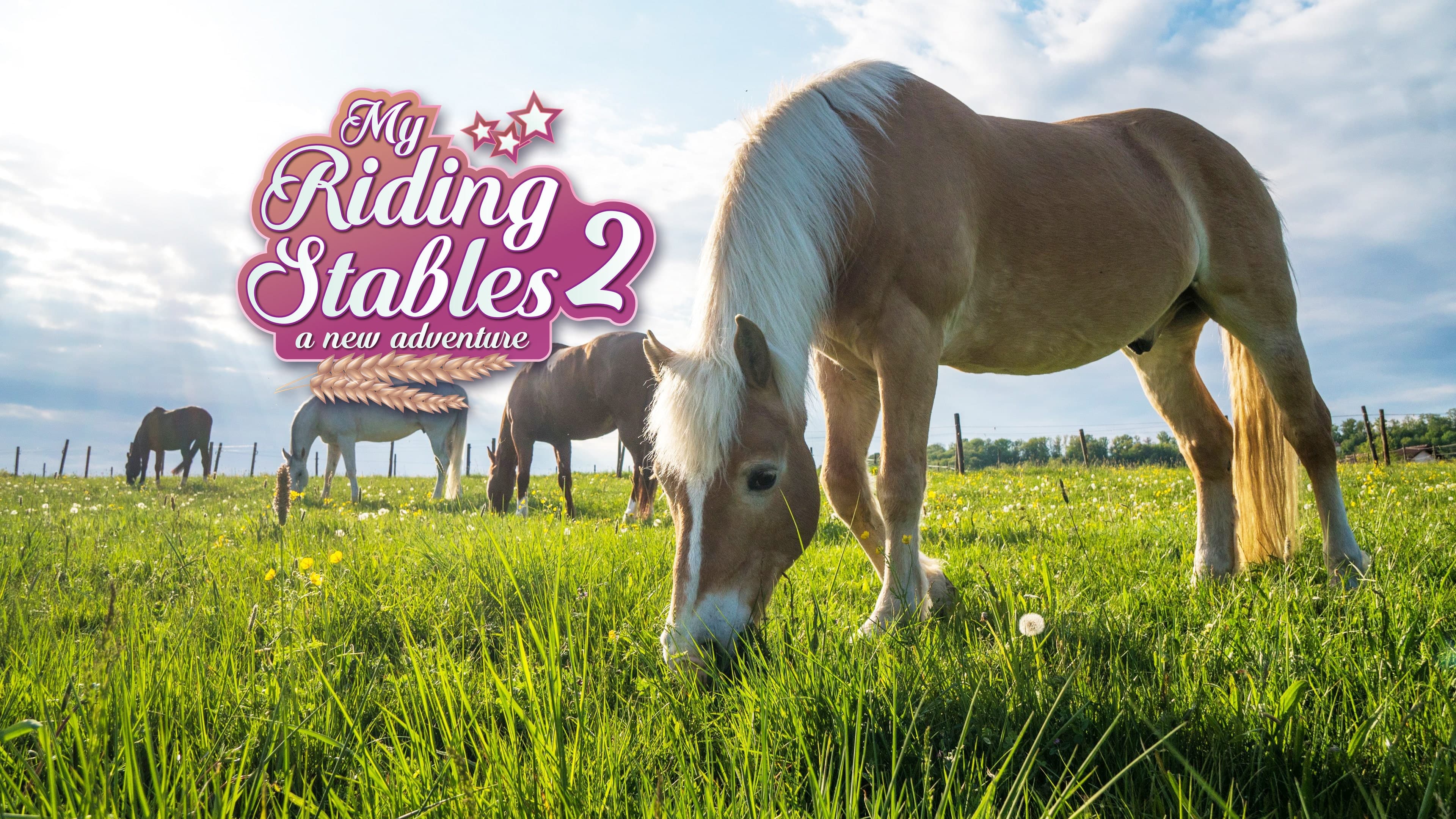 My Riding Stables 2: A New Adventure Standard