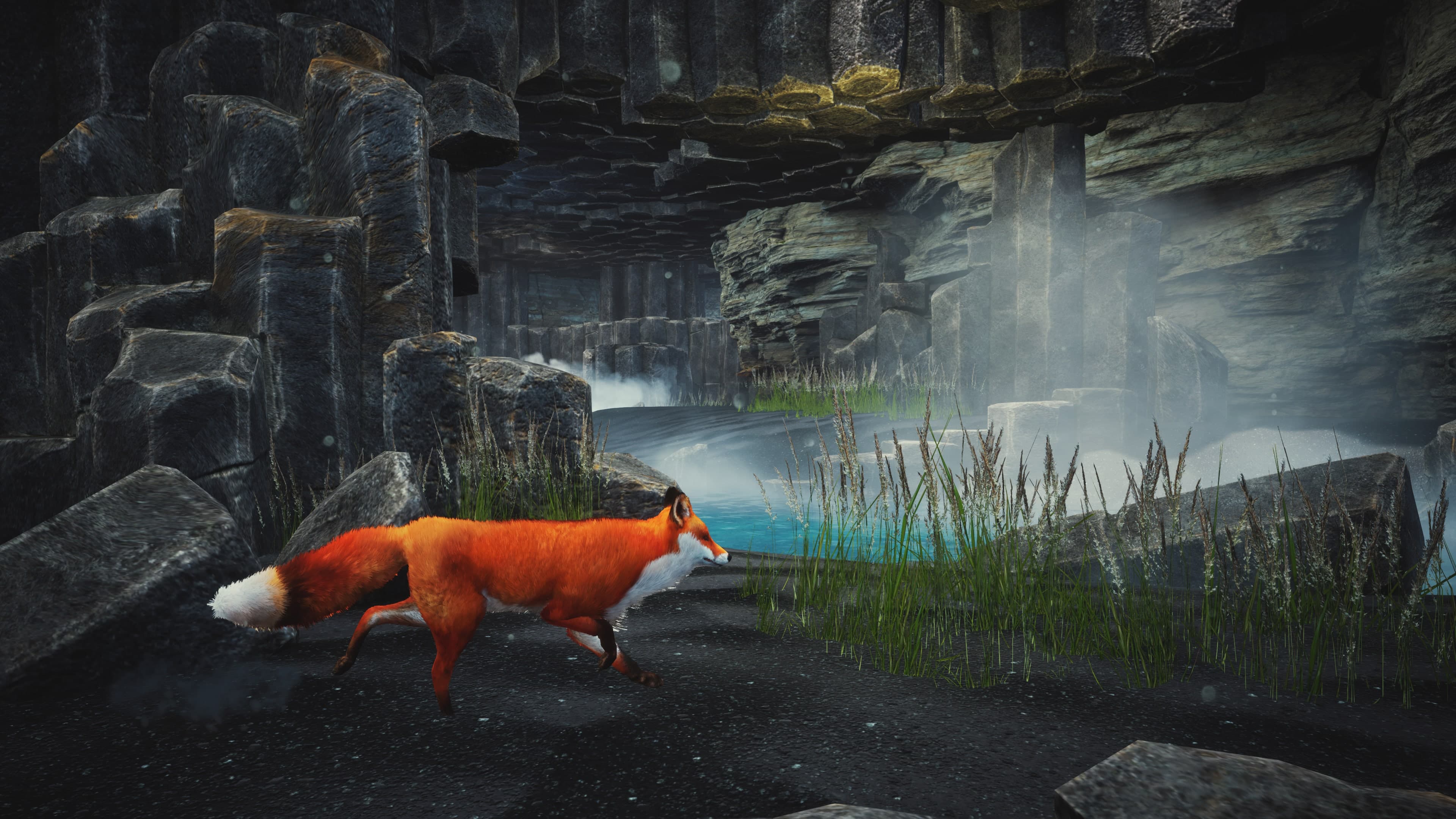 Spirit of the North: Enhanced: скриншот 3