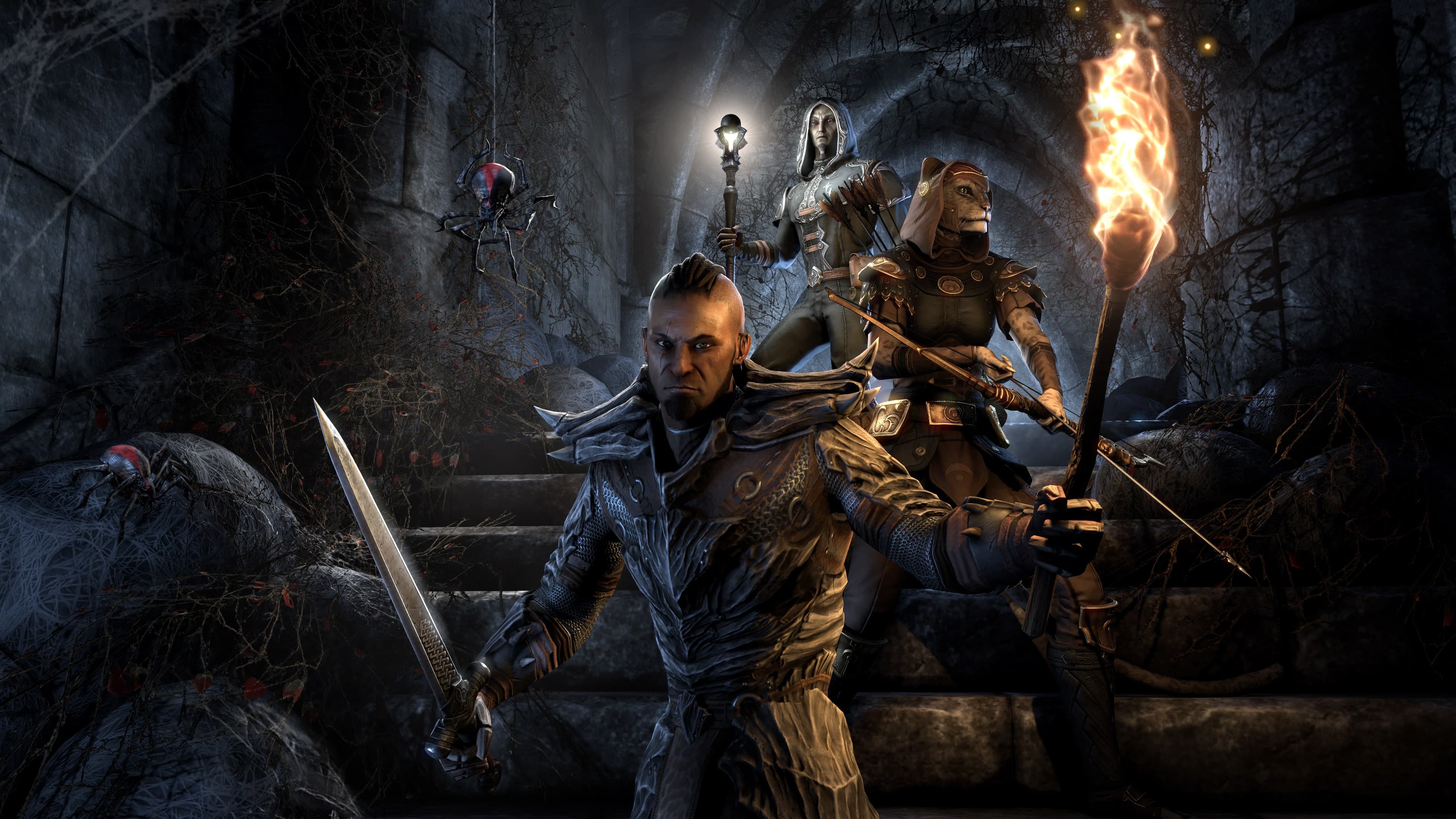 The Elder Scrolls Online: скриншот 5