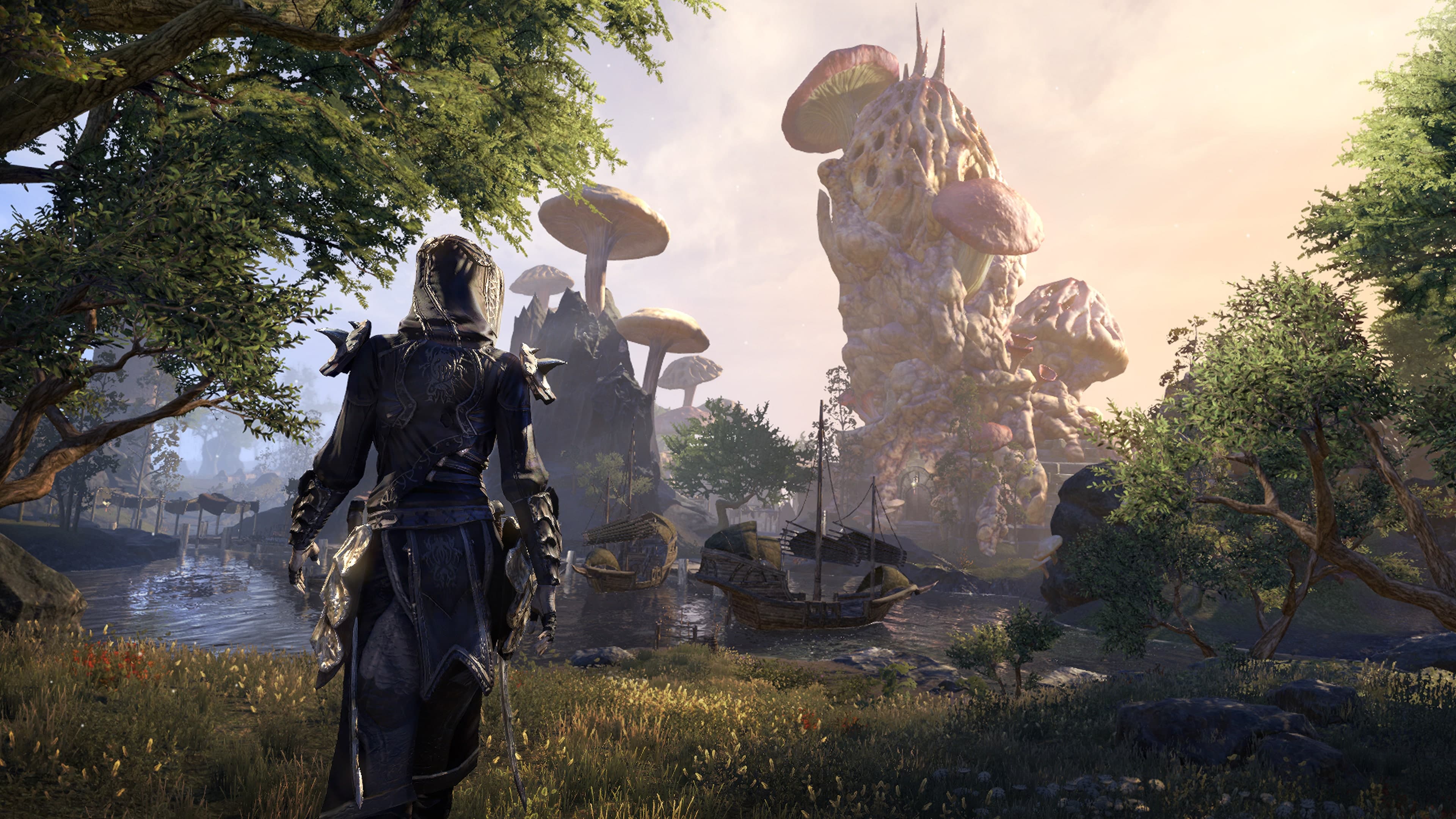 The Elder Scrolls Online: скриншот 1