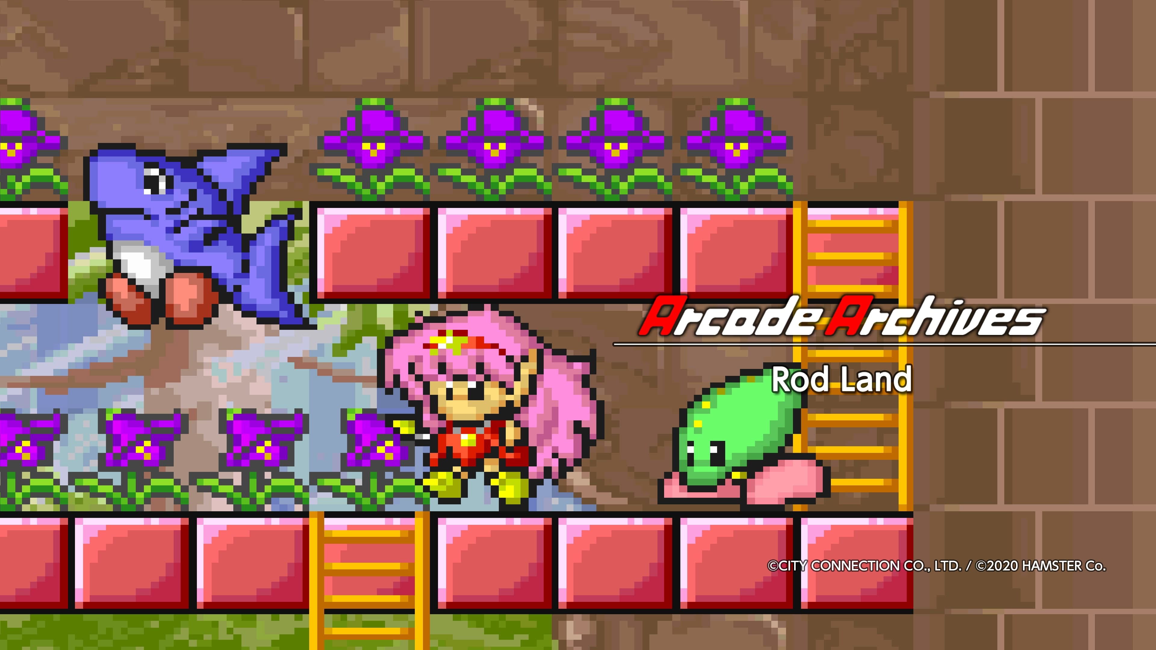 Arcade Archives Rod Land Standard