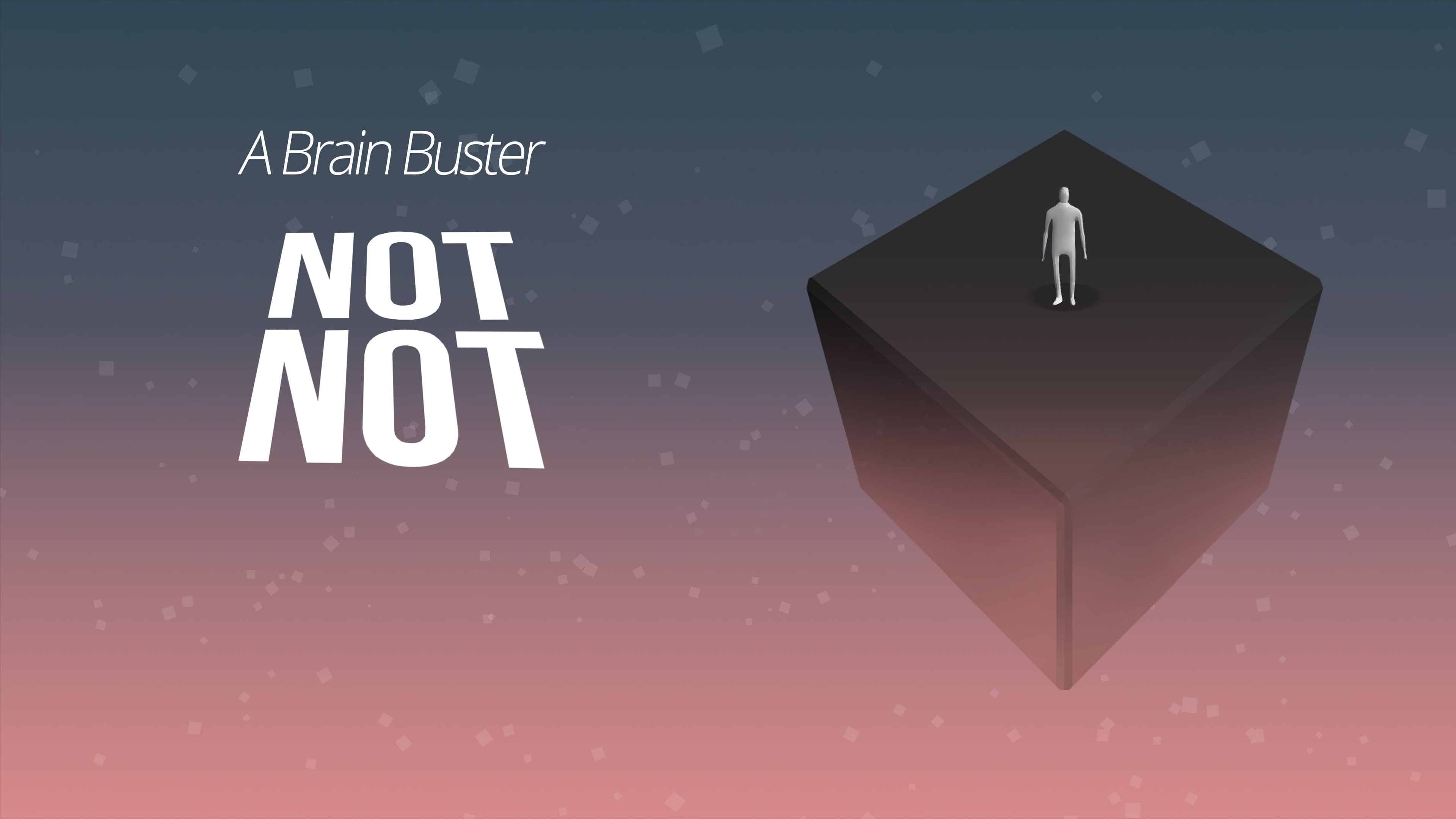 Not Not - A Brain Buster Standard