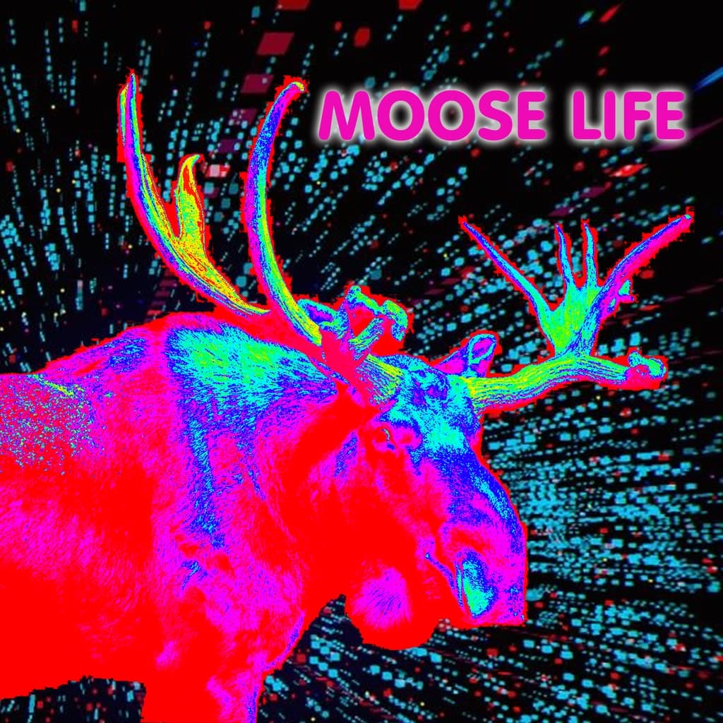Moose Life Standard