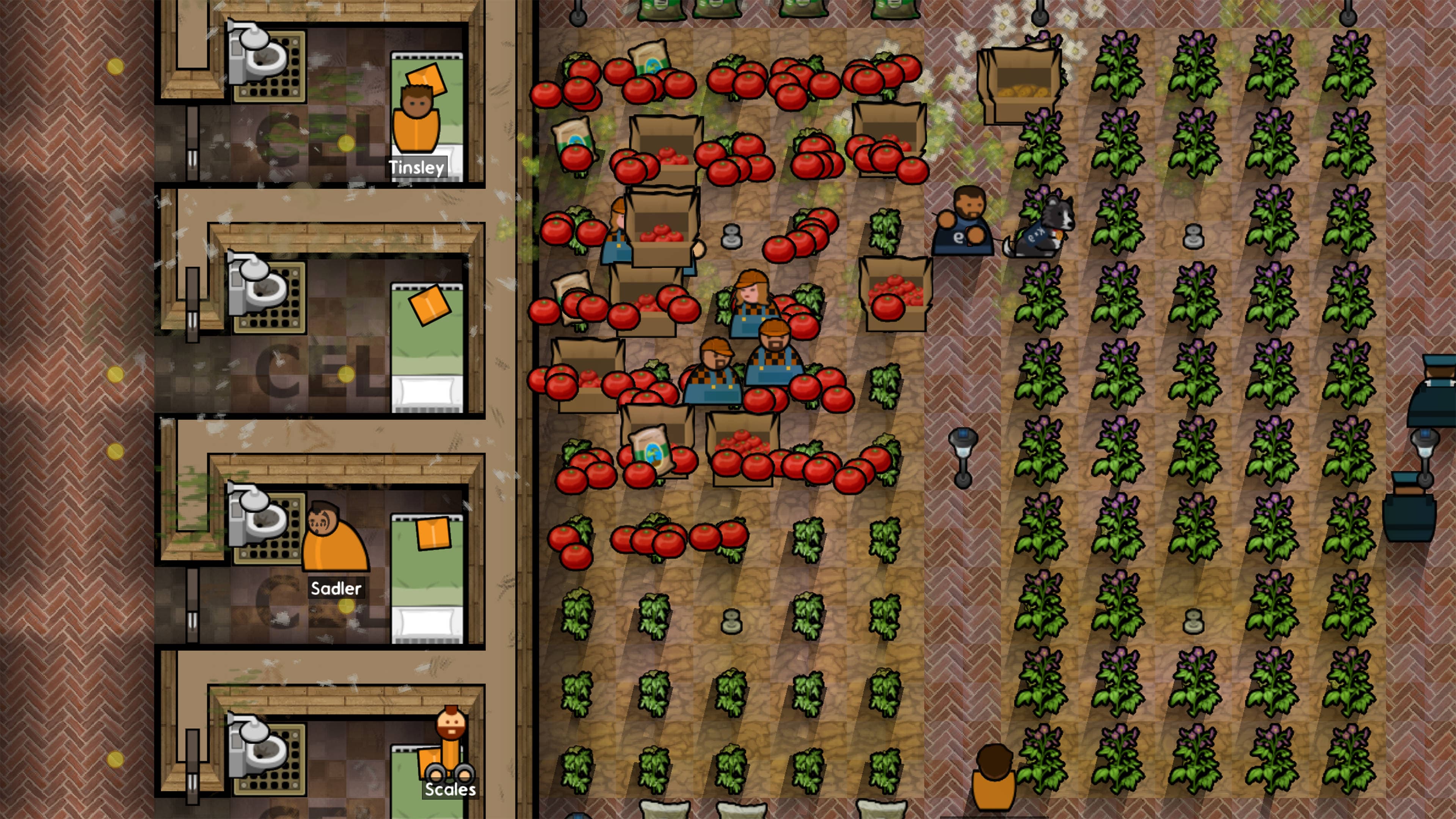 Prison Architect - Going Green: скриншот 4