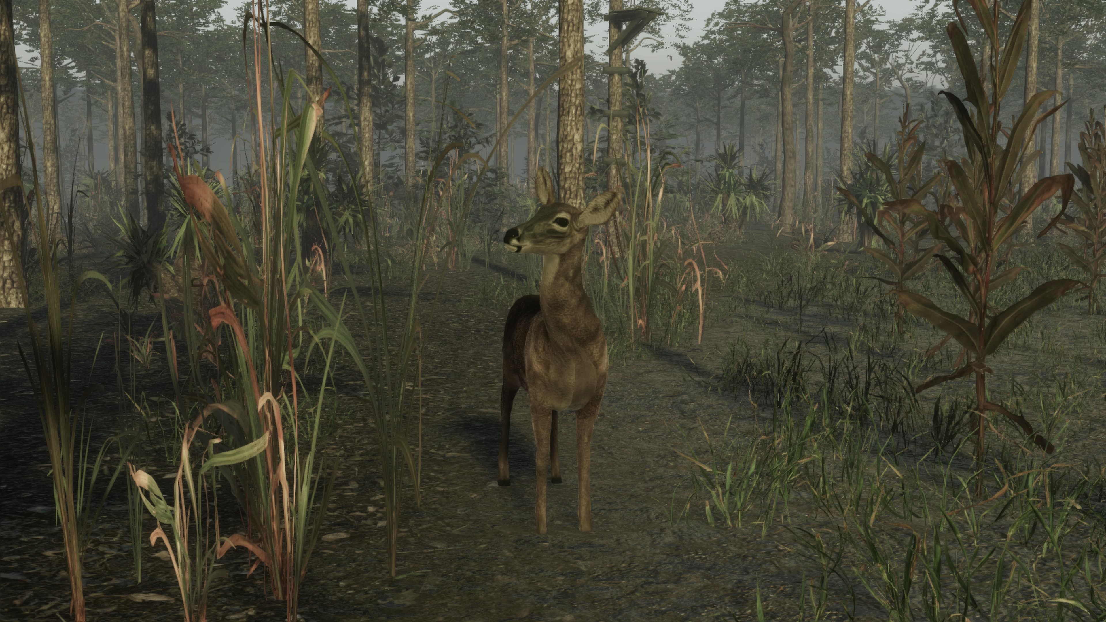 Pro Deer Hunting 2: скриншот 8