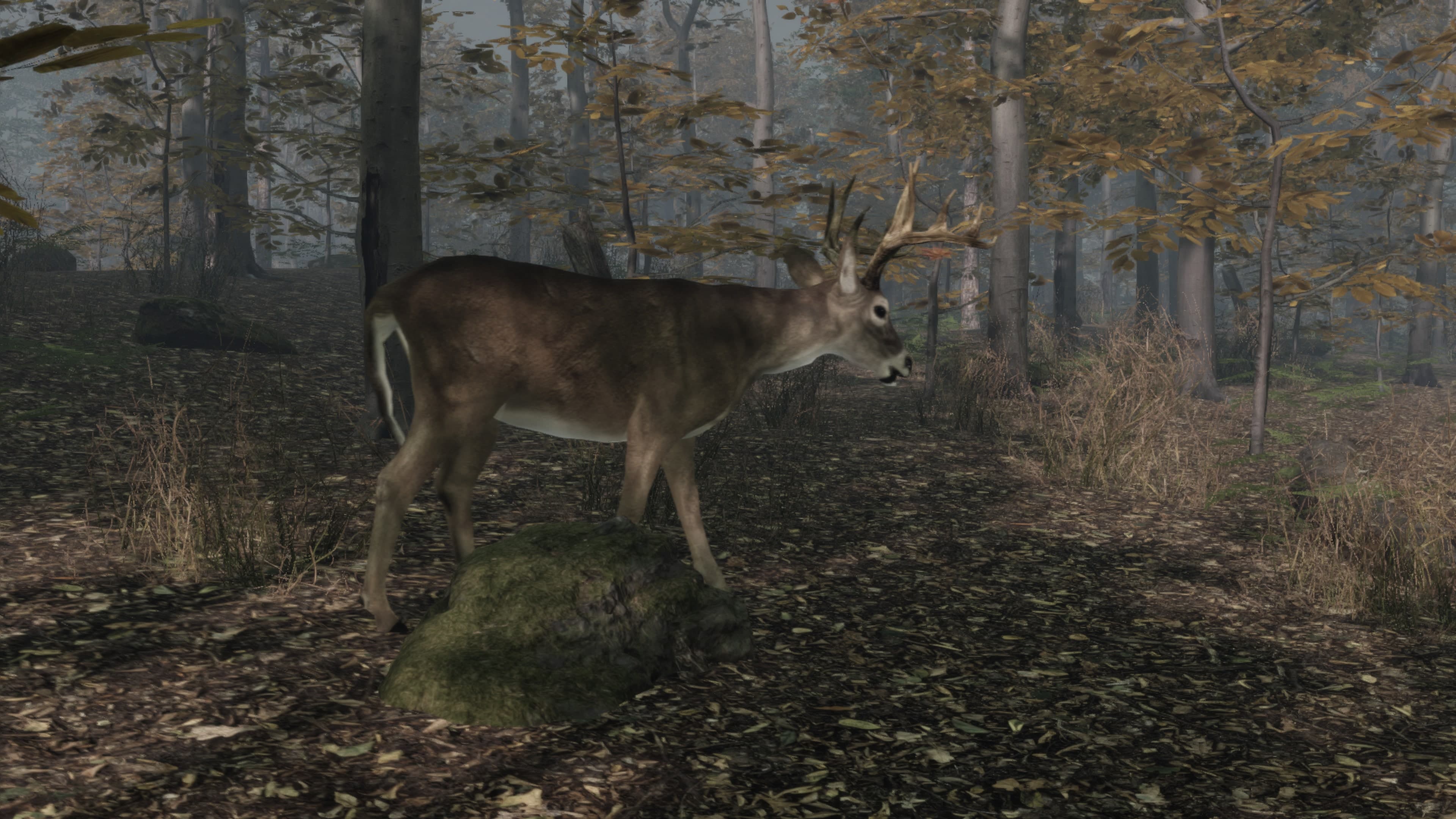 Pro Deer Hunting 2: скриншот 9