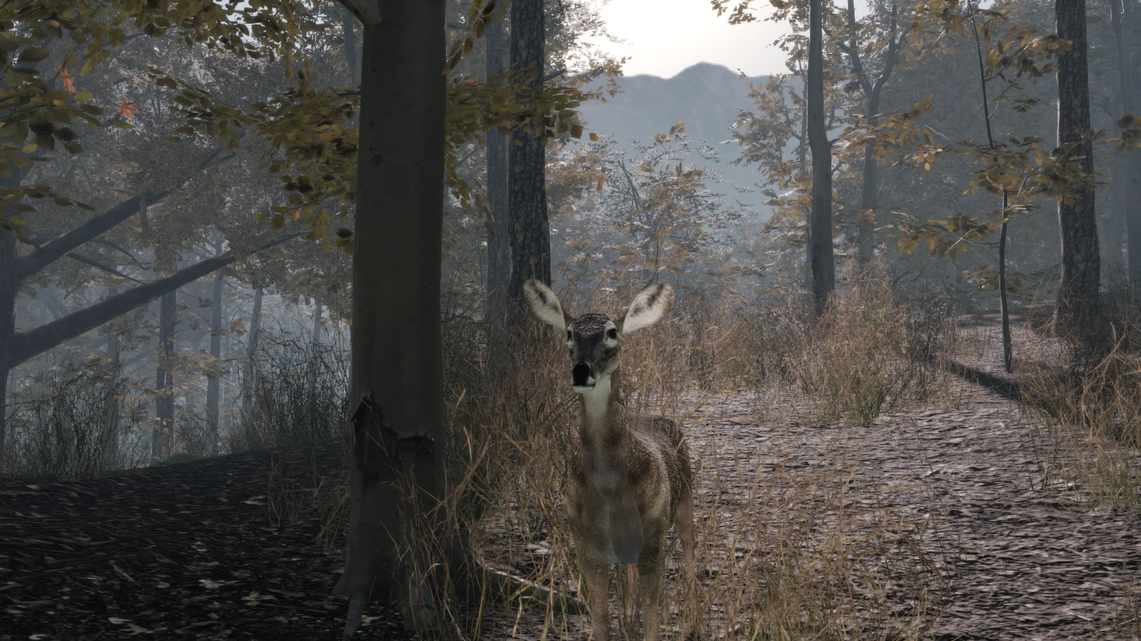 Pro Deer Hunting 2: скриншот 2