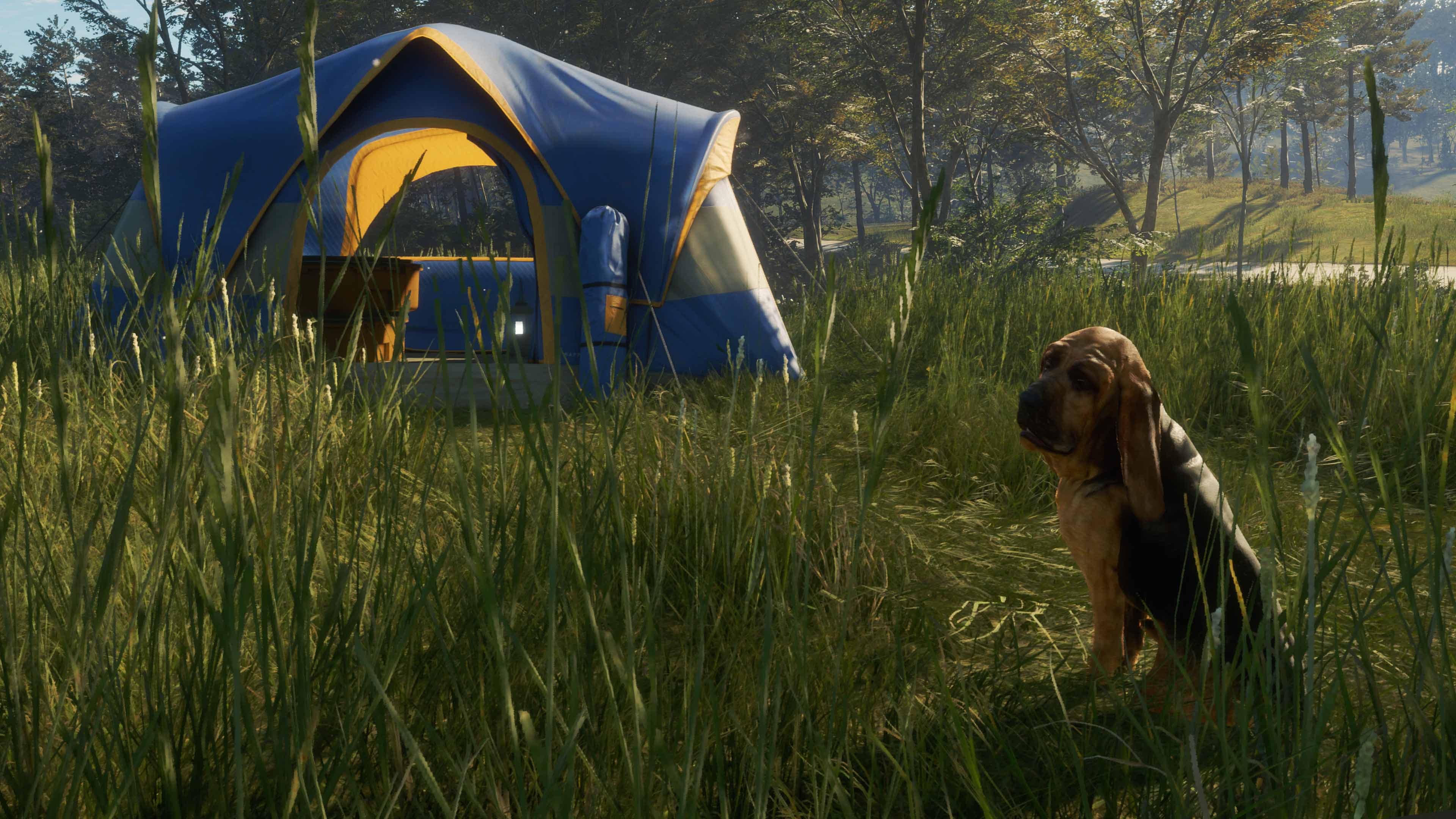 theHunter: Call of the Wild - Bloodhound: скриншот 6